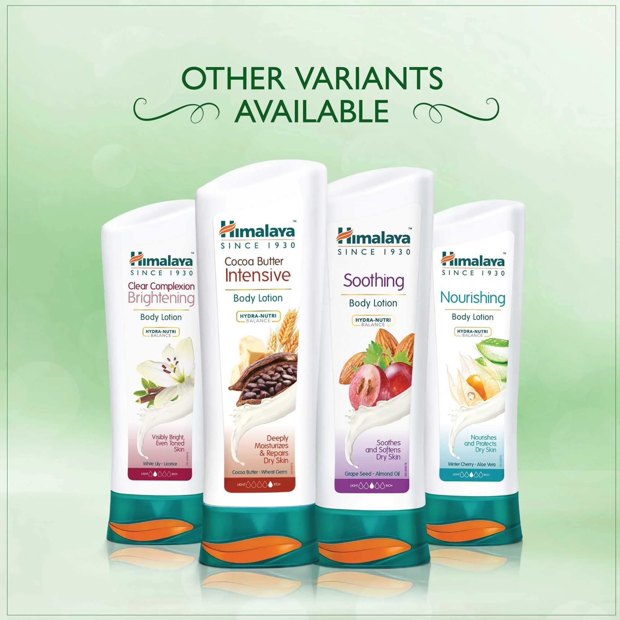 Aloe & Cucumber Refreshing Body Lotion - Image 6
