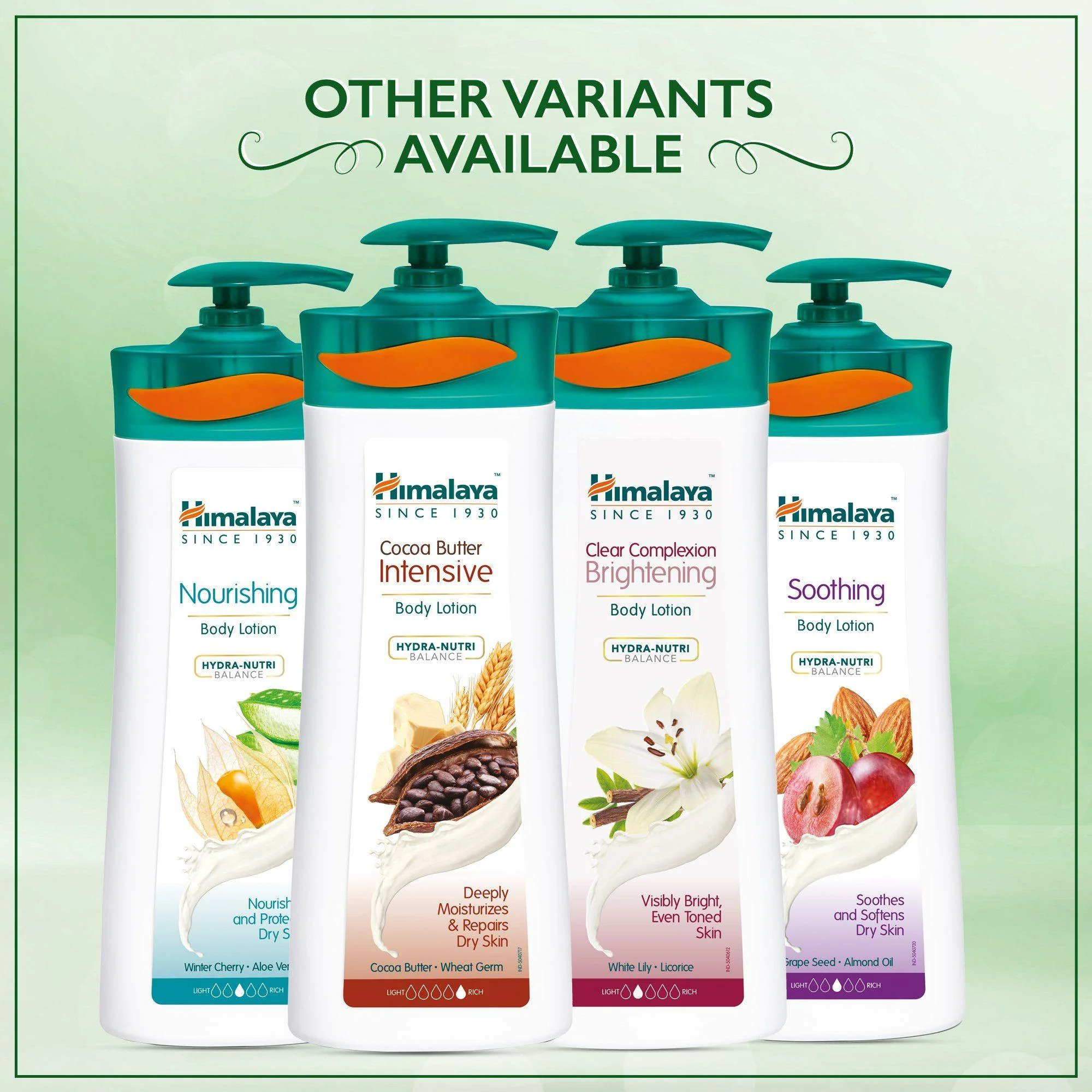 Aloe & Cucumber Refreshing Body Lotion - Image 7