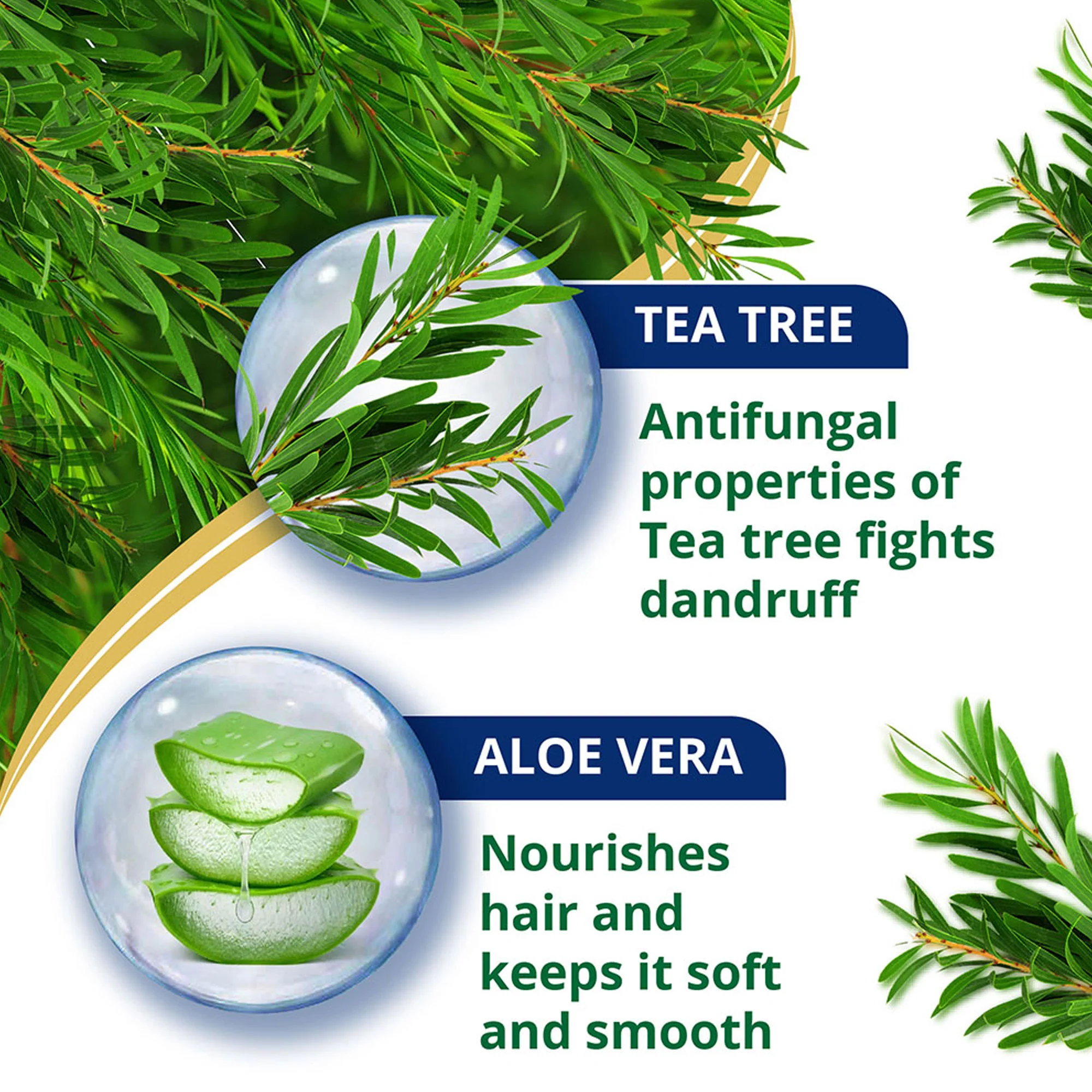 Anti-Dandruff Tea Tree Conditioner - Image 3