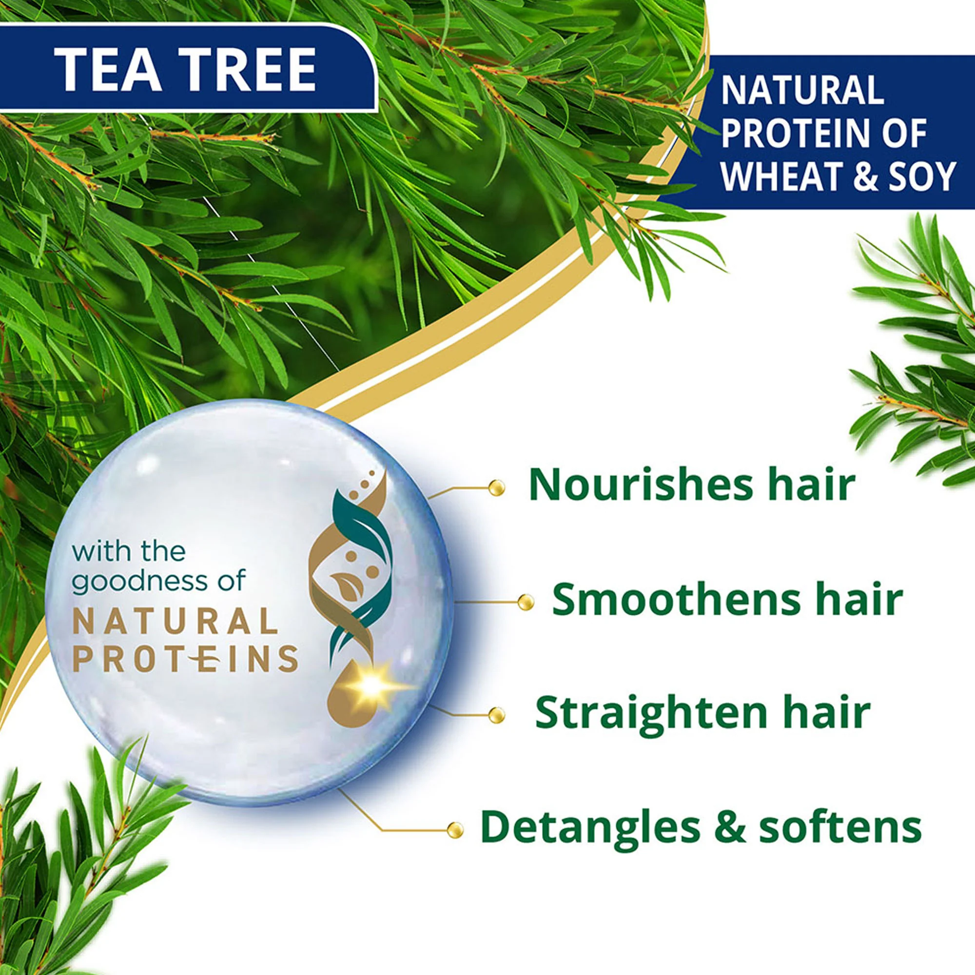 Anti-Dandruff Tea Tree Conditioner - Image 4