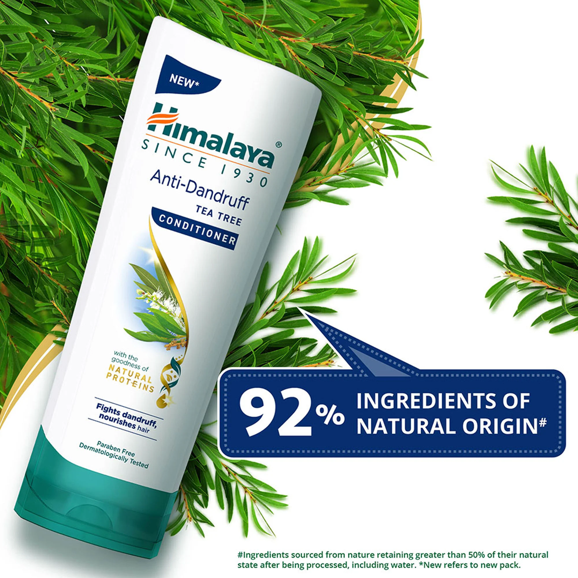 Anti-Dandruff Tea Tree Conditioner - Image 5