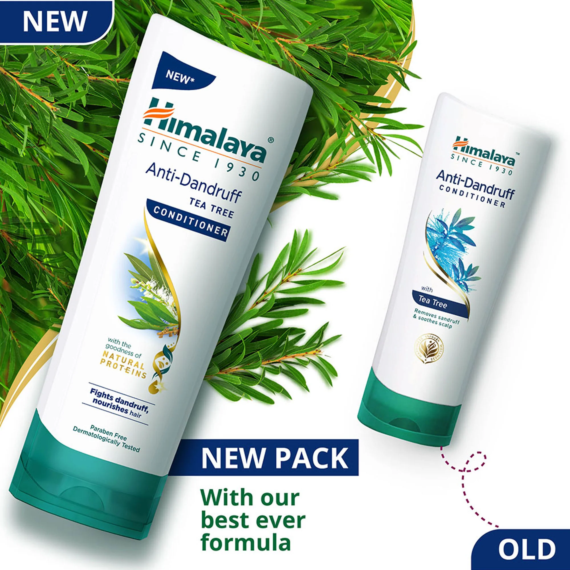 Anti-Dandruff Tea Tree Conditioner - Image 6
