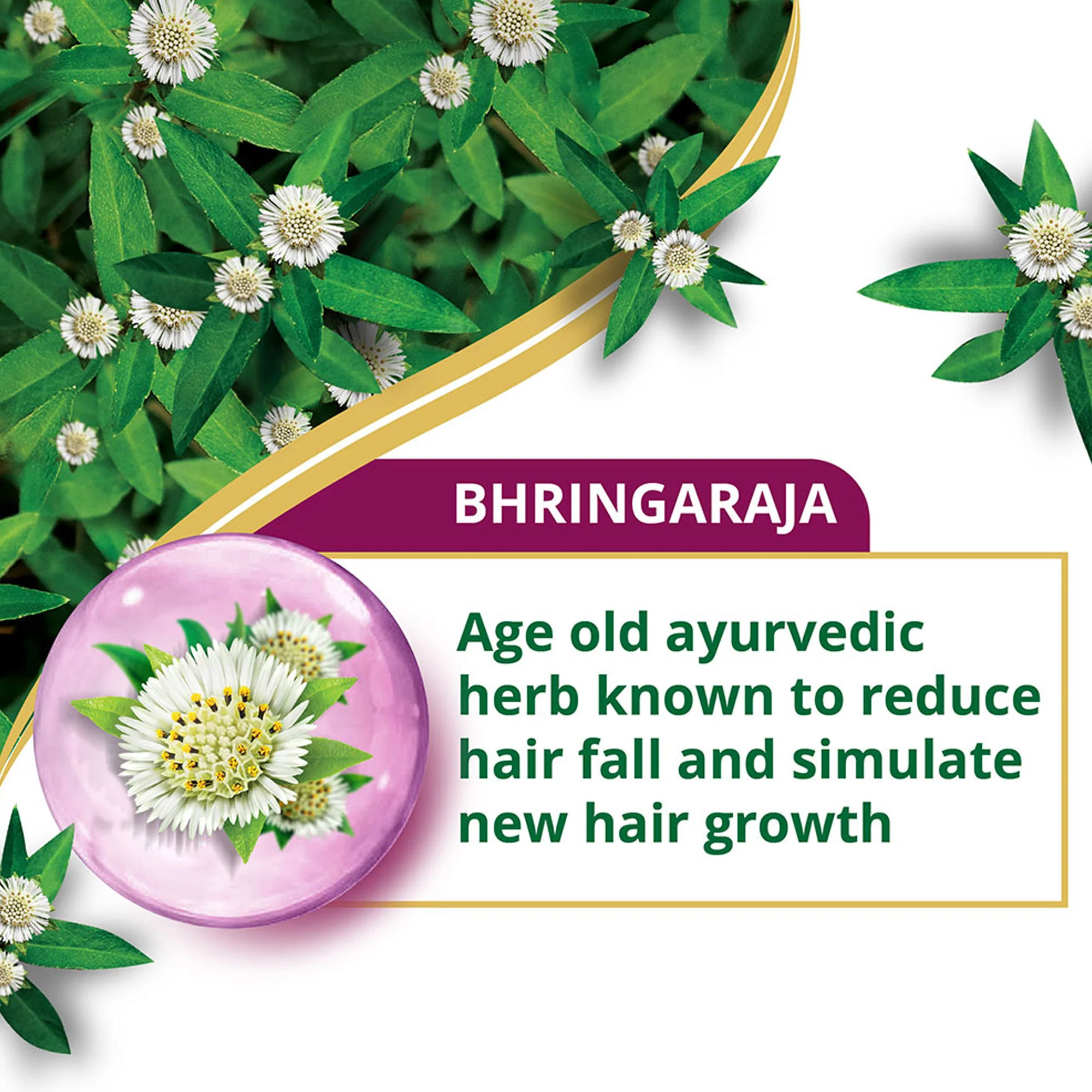 Anti-Hair Fall Bhringaraja Conditioner - Image 11