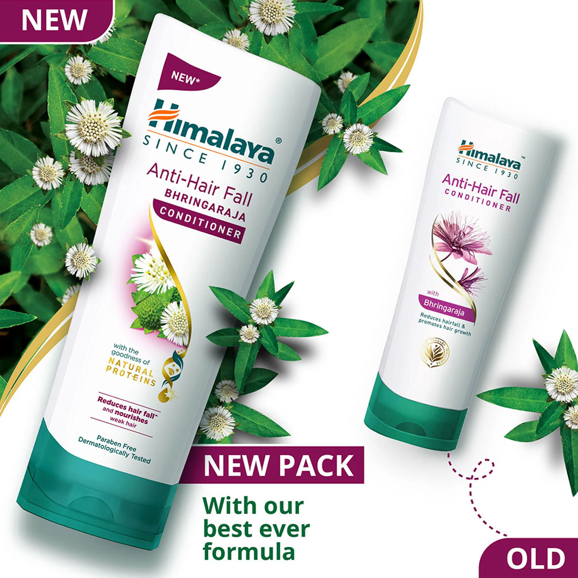 Anti-Hair Fall Bhringaraja Conditioner - Image 14
