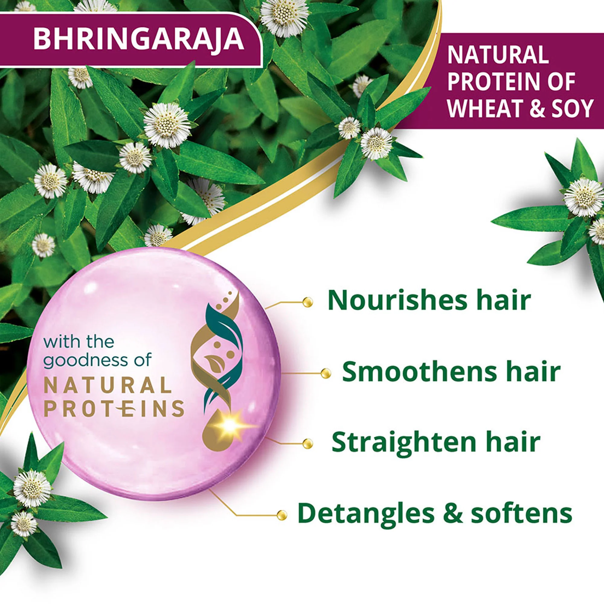 Anti-Hair Fall Bhringaraja Conditioner - Image 4