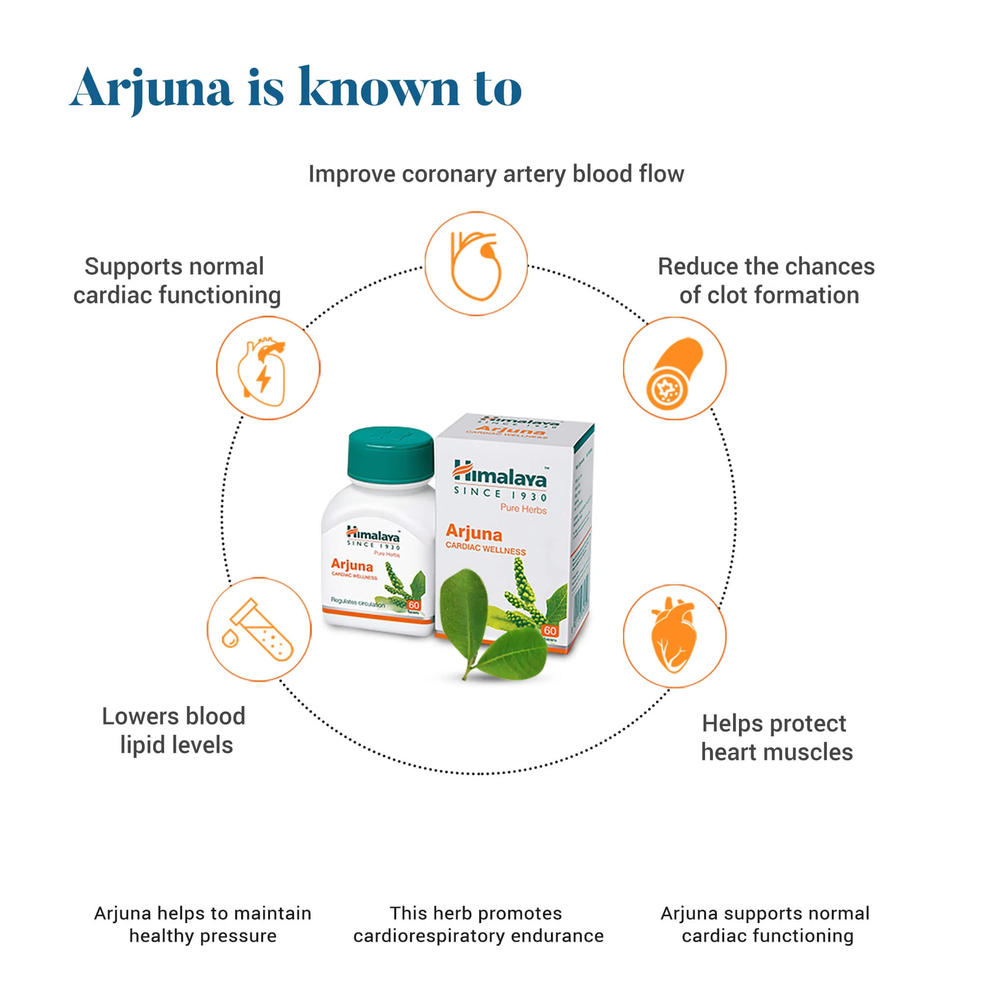 Arjuna - Image 3