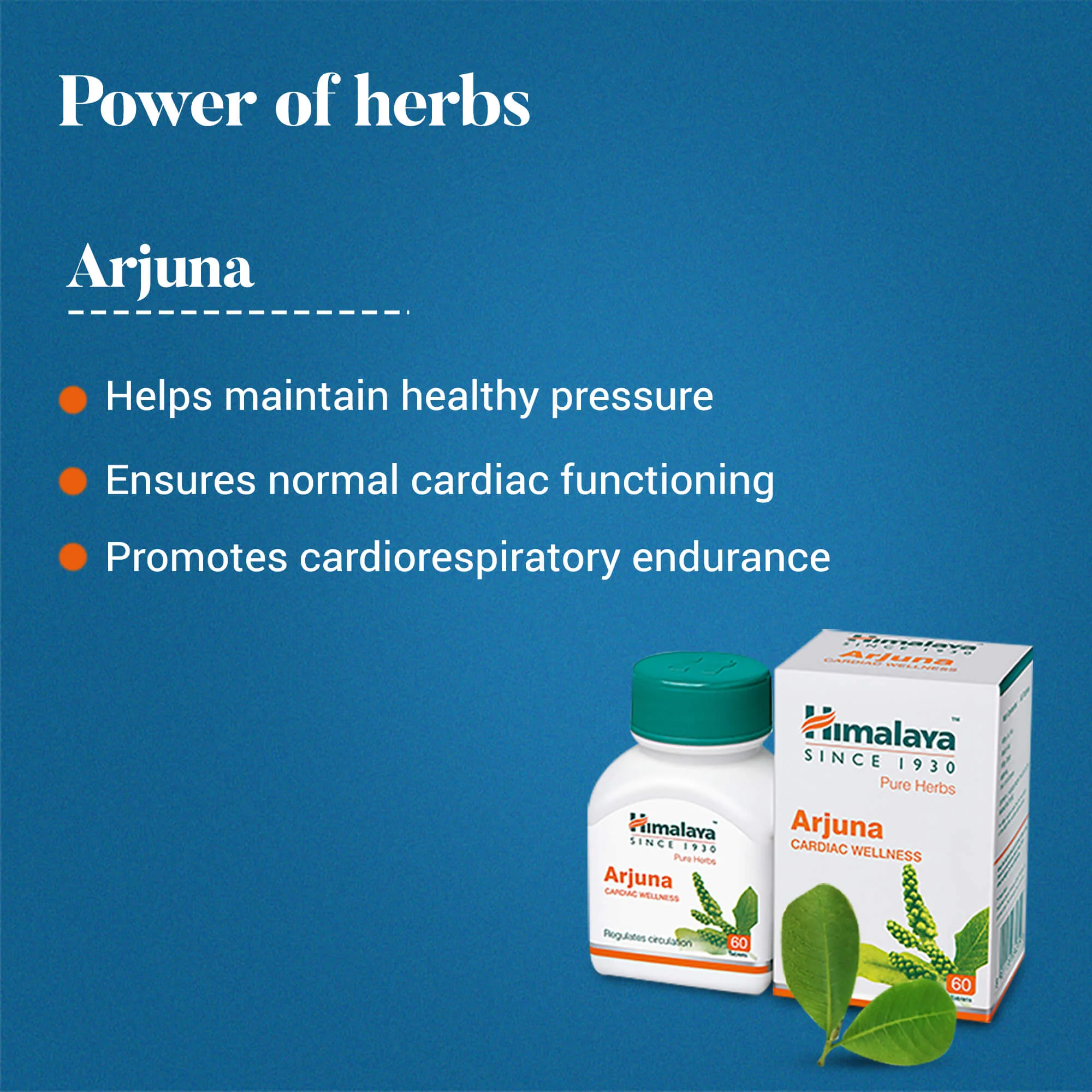 Arjuna - Image 4