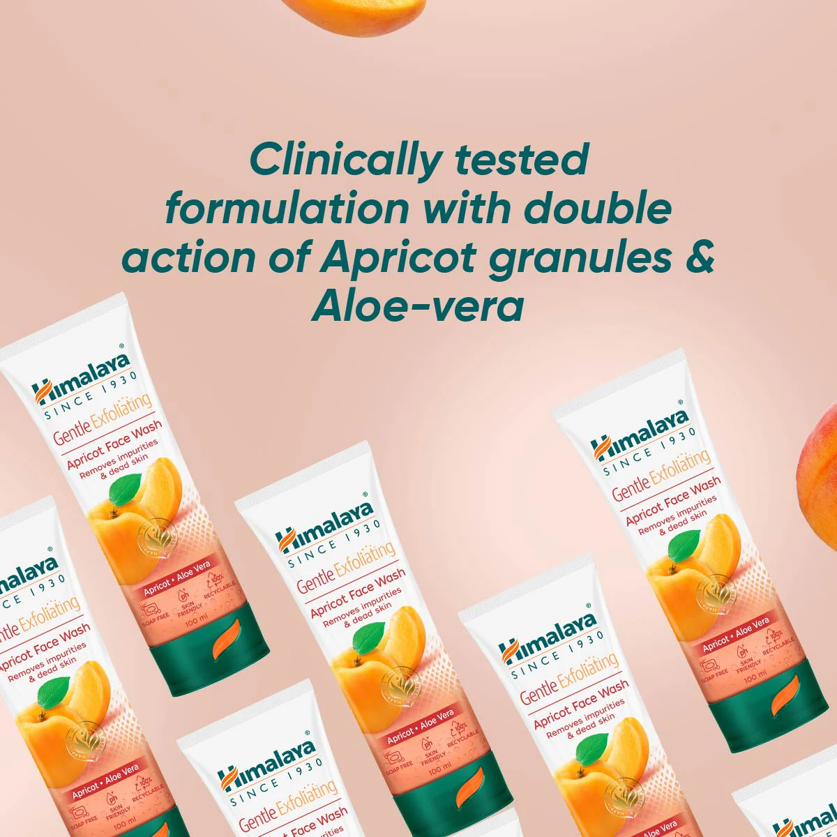 Gentle Exfoliating Apricot Face Wash - Image 10