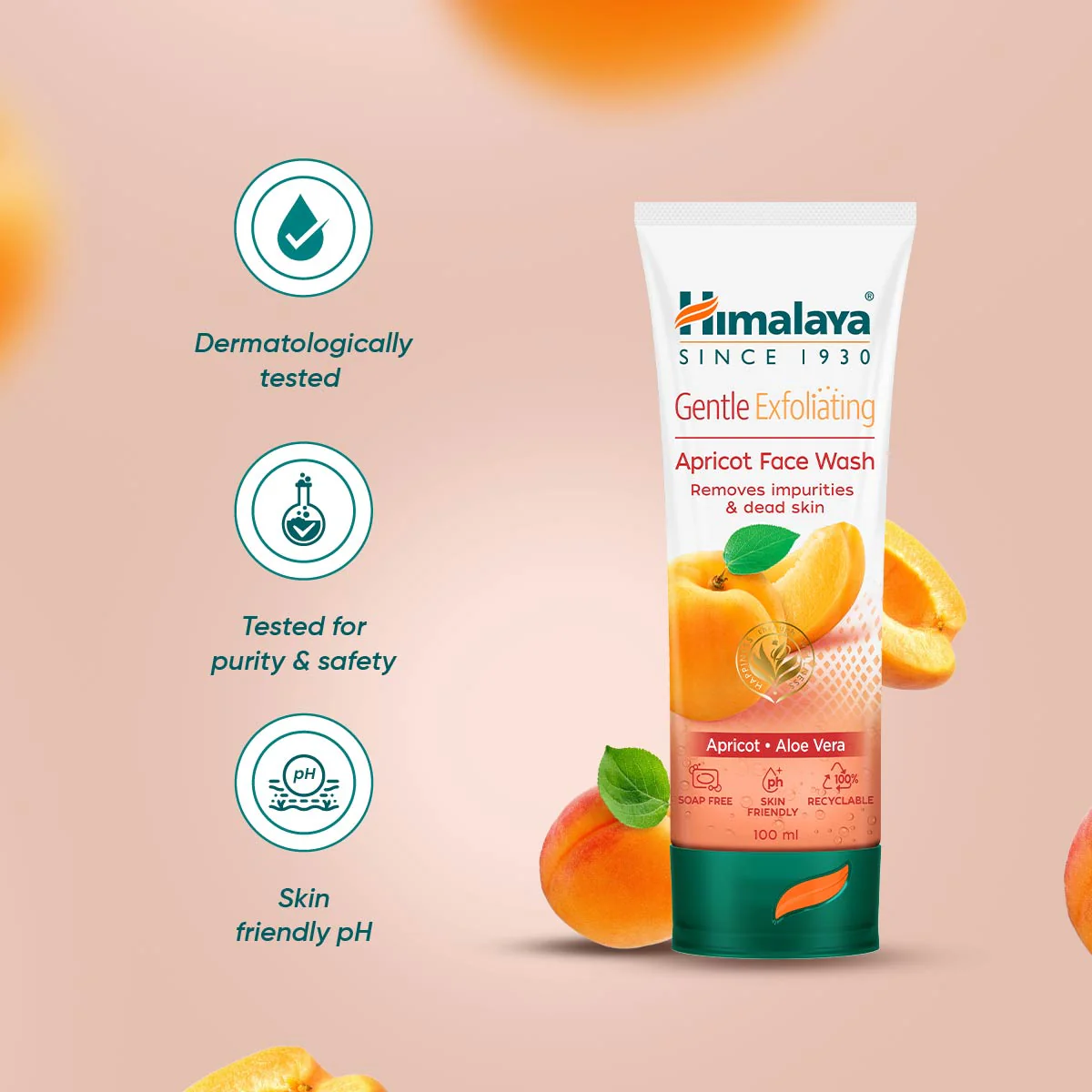 Gentle Exfoliating Apricot Face Wash - Image 11