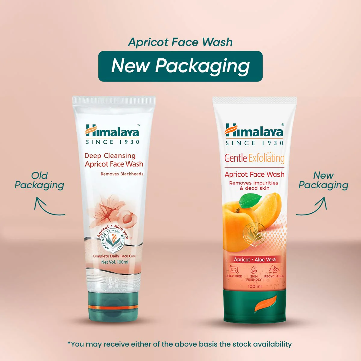 Gentle Exfoliating Apricot Face Wash - Image 14
