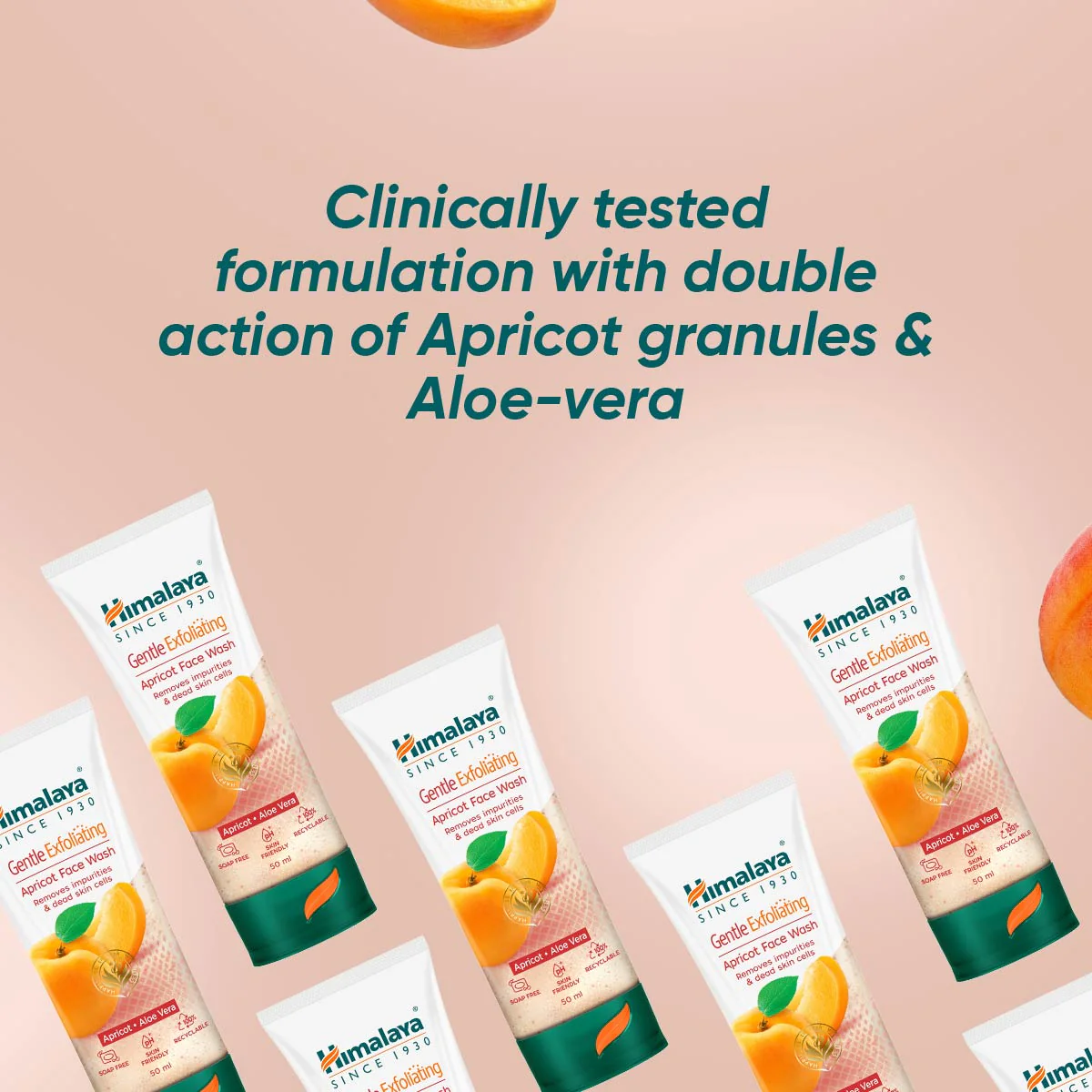 Gentle Exfoliating Apricot Face Wash - Image 3