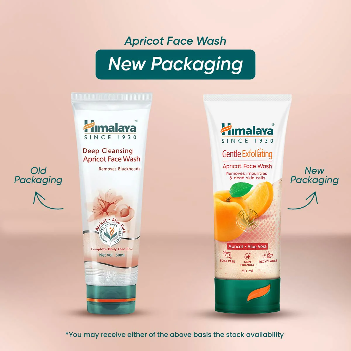 Gentle Exfoliating Apricot Face Wash - Image 7