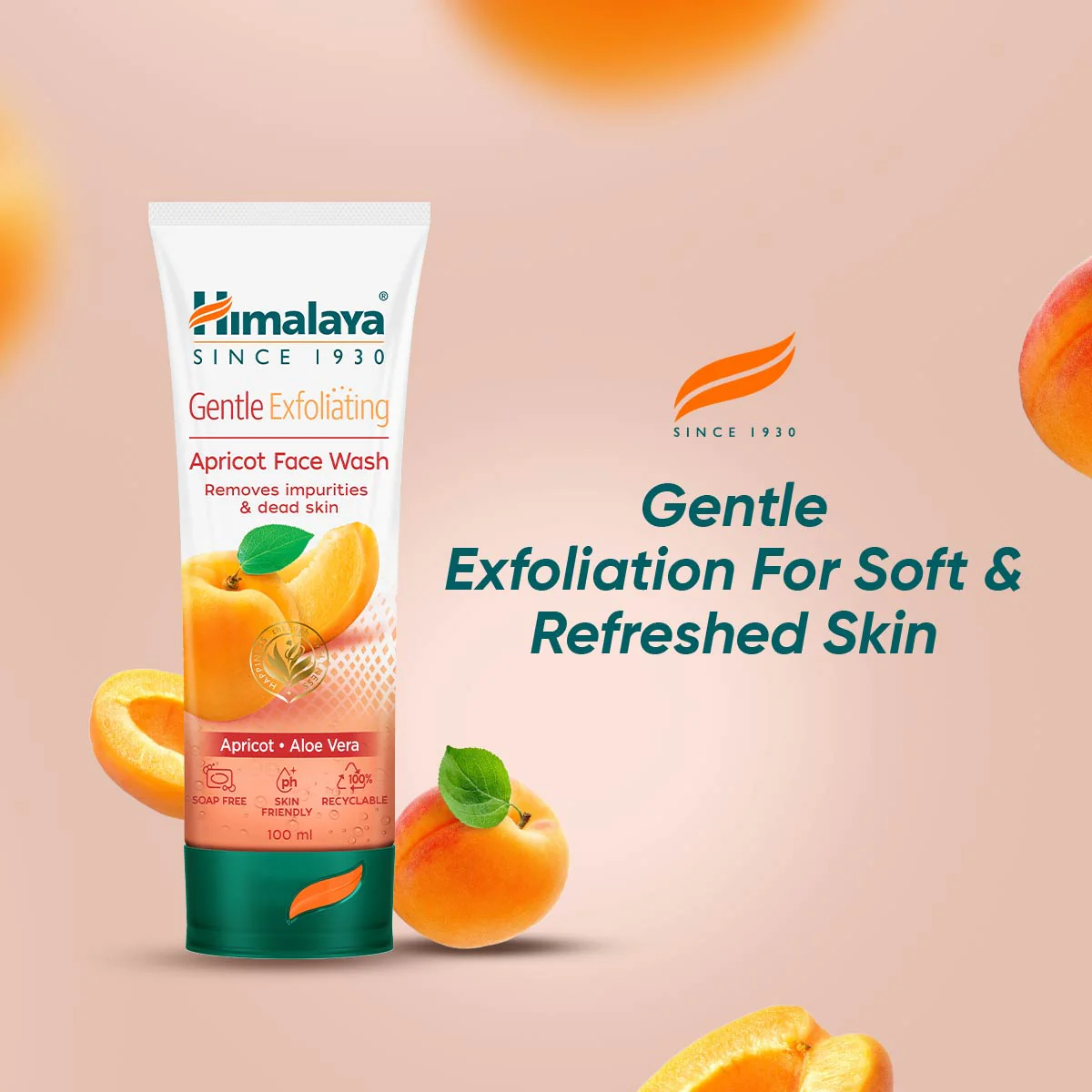 Gentle Exfoliating Apricot Face Wash - Image 8