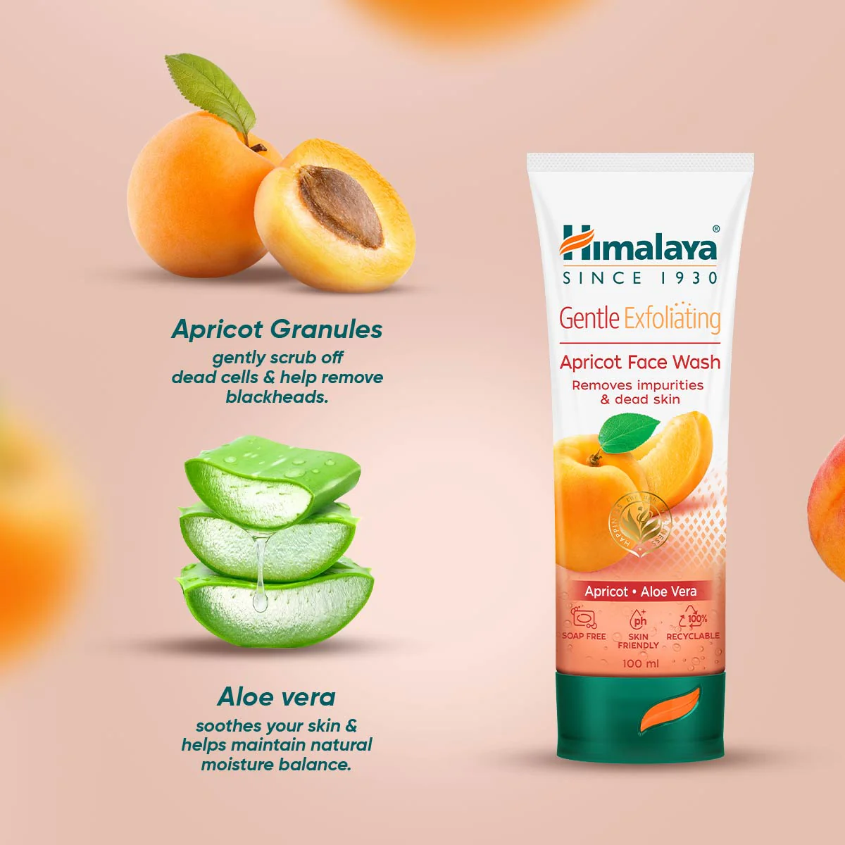 Gentle Exfoliating Apricot Face Wash - Image 9