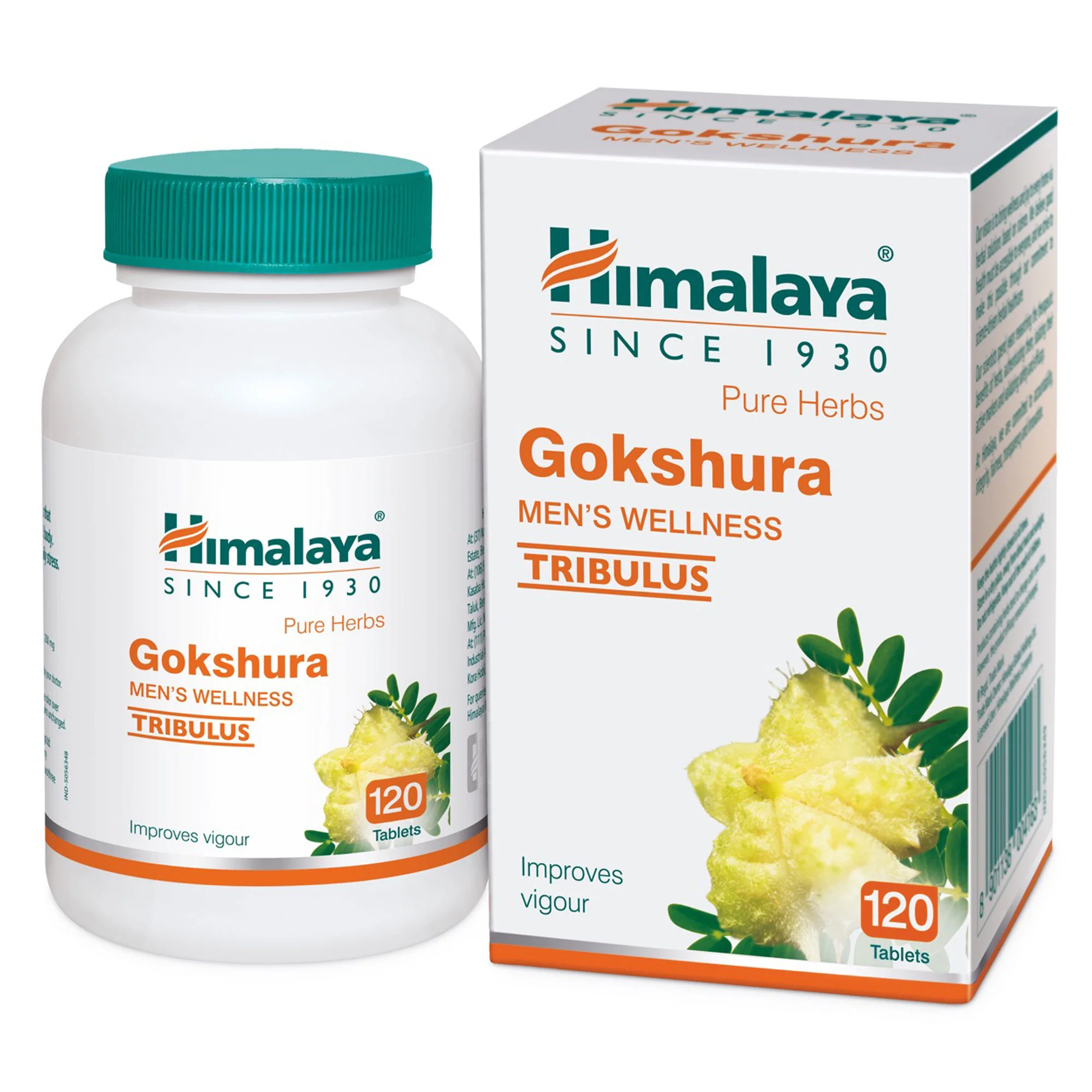 Gokshura - Image 6