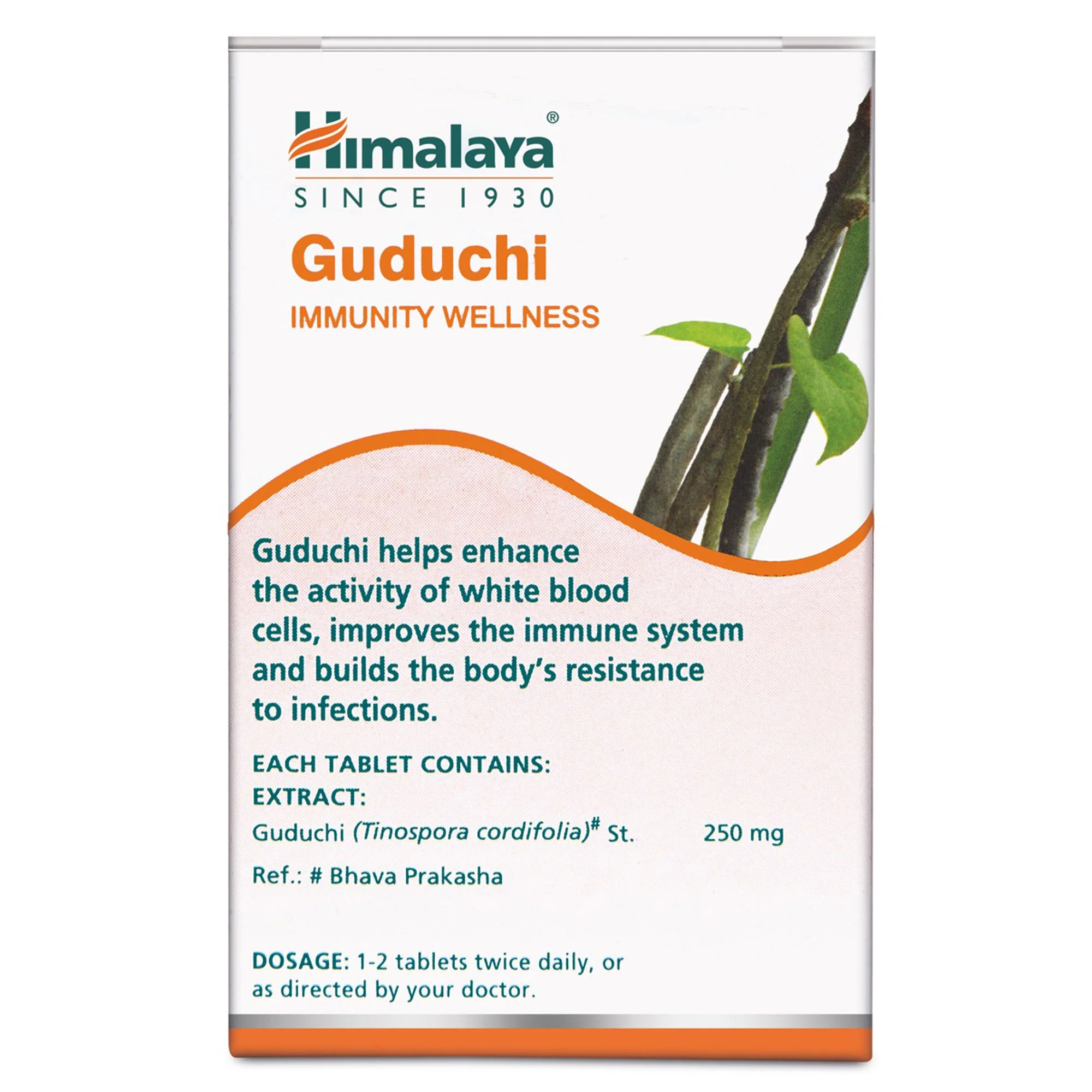 Guduchi - Image 2