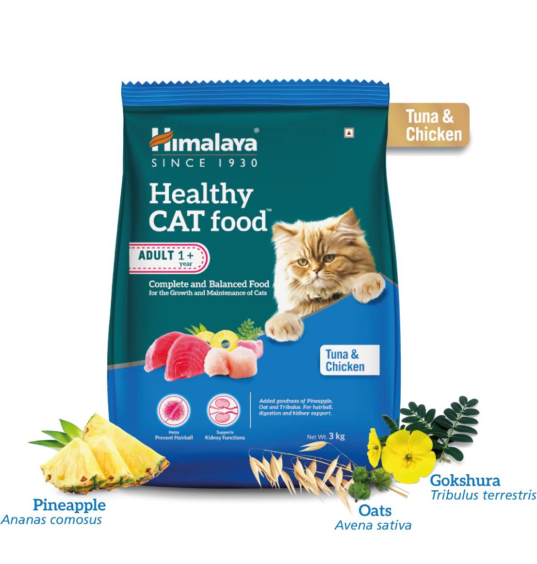 Healthy CAT food Adult - Tuna and Chicken