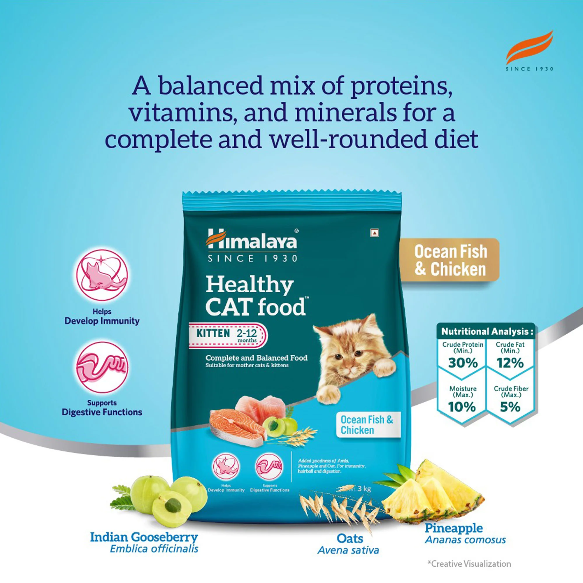 Healthy CAT food Kitten – Ocean Fish and Chicken - Image 2