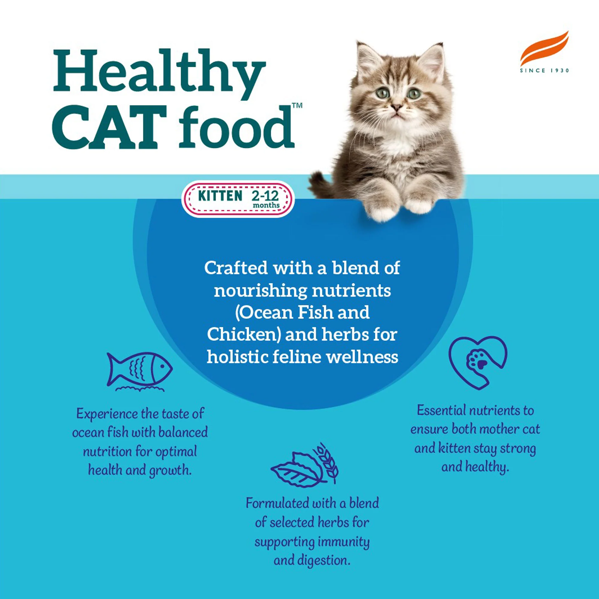 Healthy CAT food Kitten – Ocean Fish and Chicken - Image 3