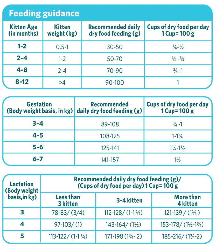 Healthy CAT food Kitten – Ocean Fish and Chicken - Image 4