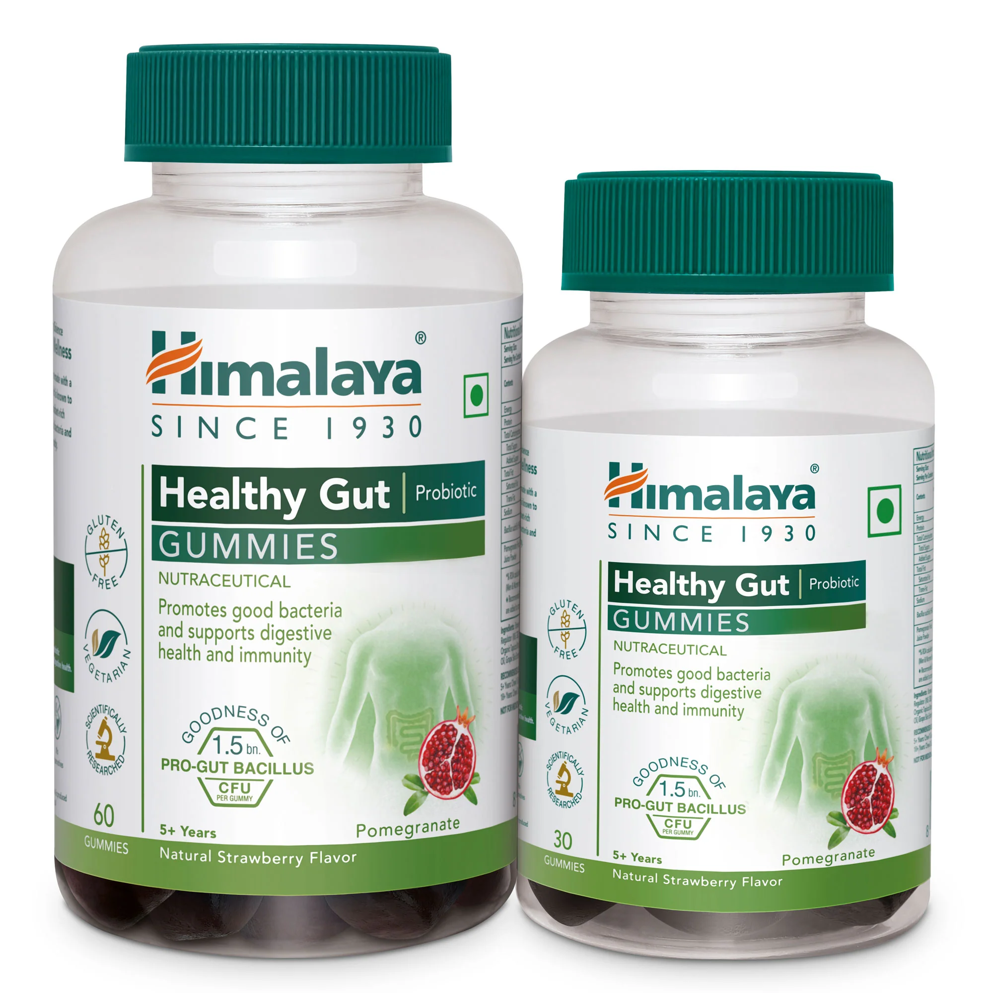 Healthy Gut Probiotic GUMMIES - Image 10