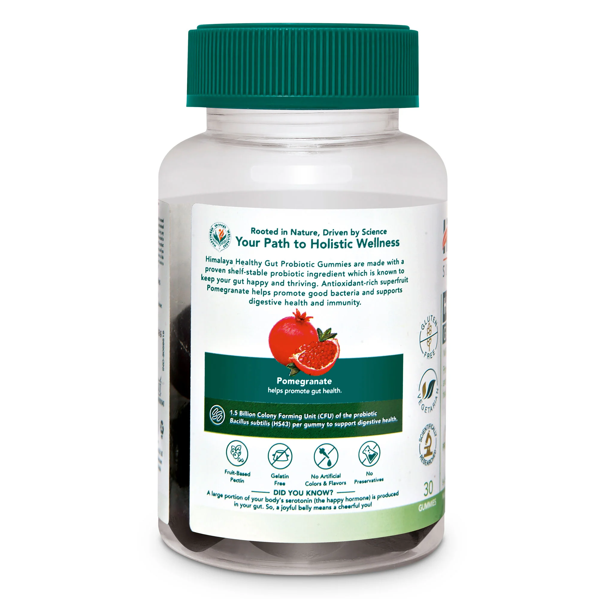 Healthy Gut Probiotic GUMMIES - Image 2