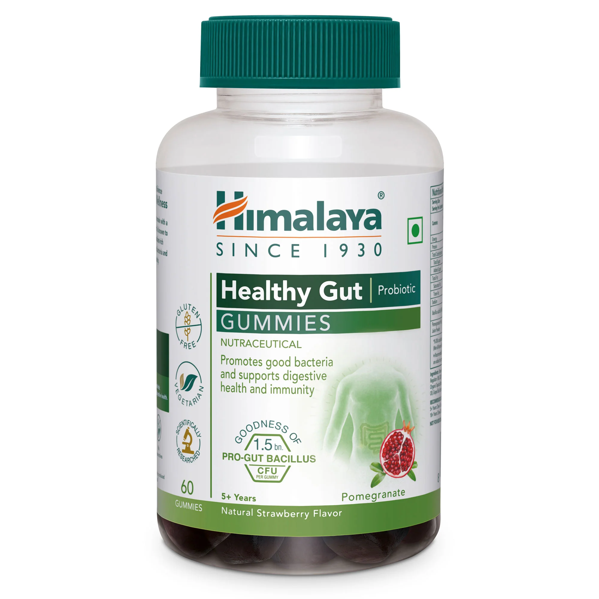 Healthy Gut Probiotic GUMMIES - Image 6