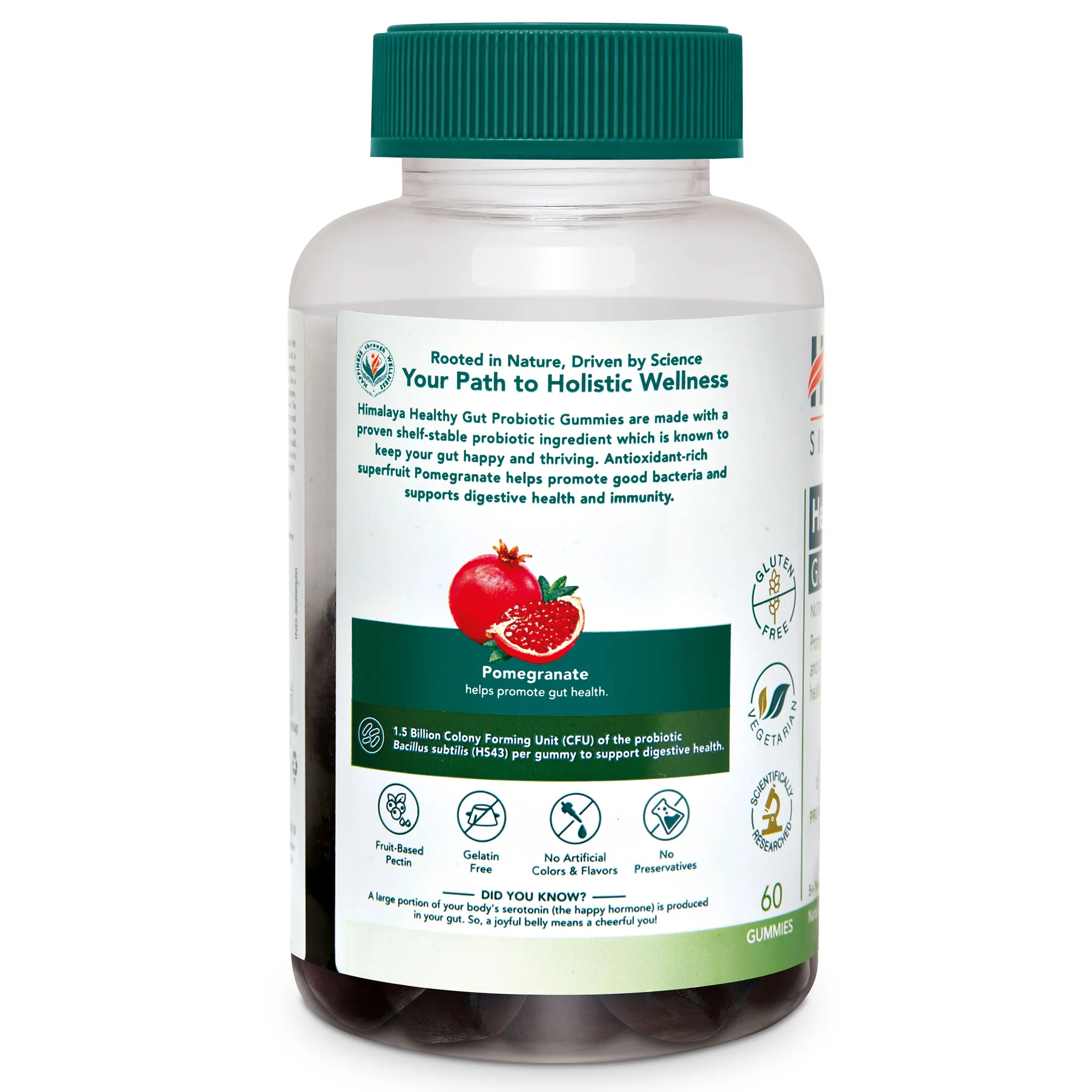 Healthy Gut Probiotic GUMMIES - Image 7