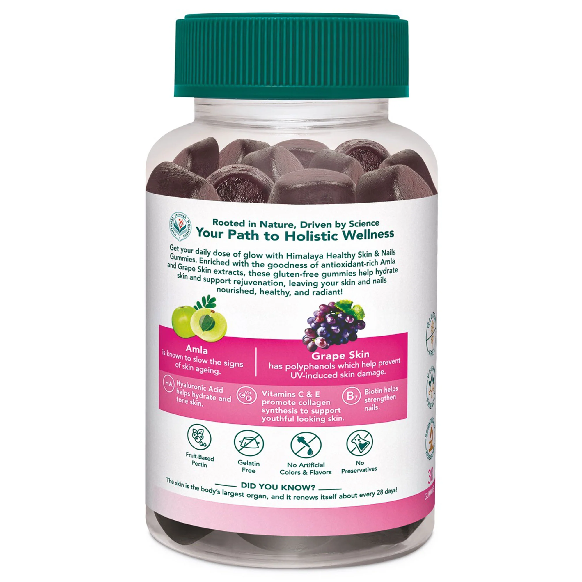 Healthy Skin & Nail Gummies - Image 2
