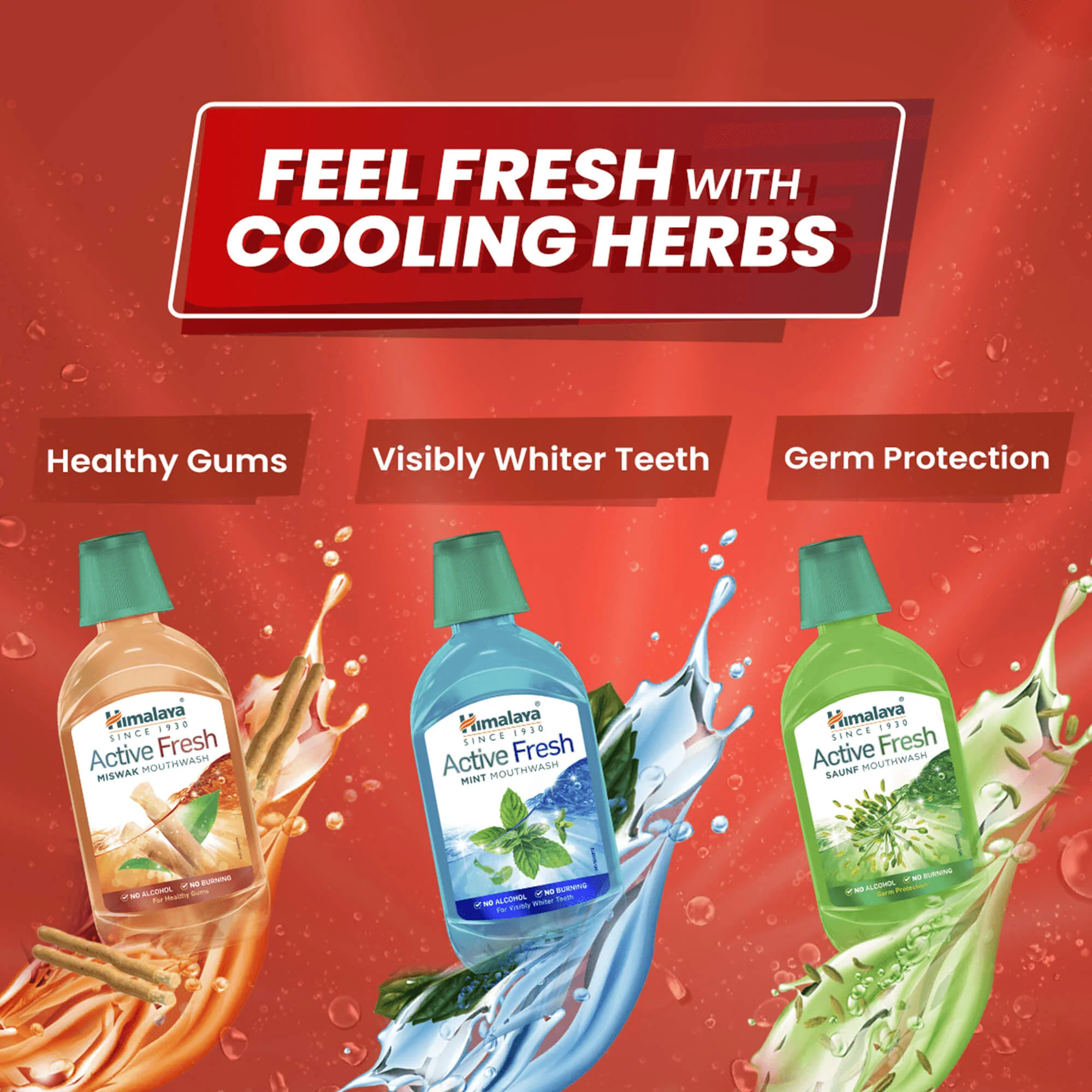 Himalaya Active Fresh Miswak Mouthwash - Image 6