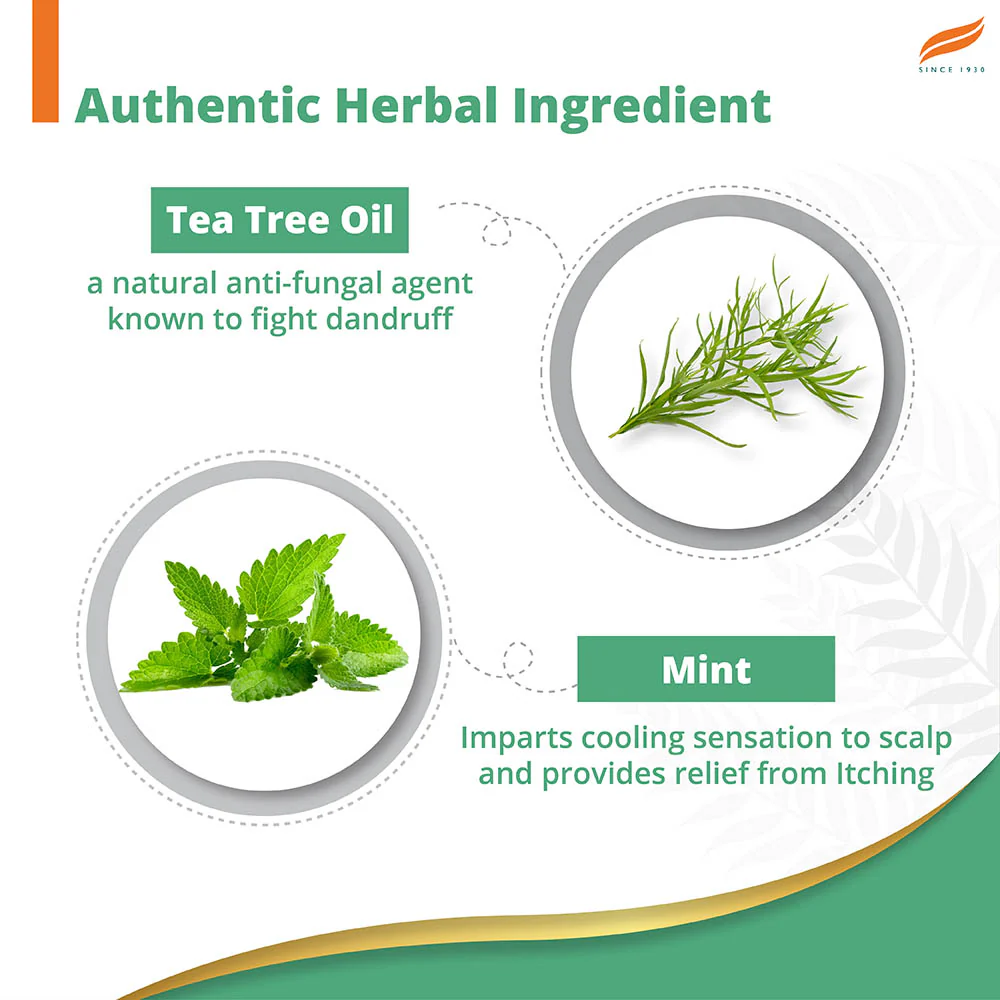 Himalaya Anti-Dandruff Cooling Mint Shampoo - Image 4