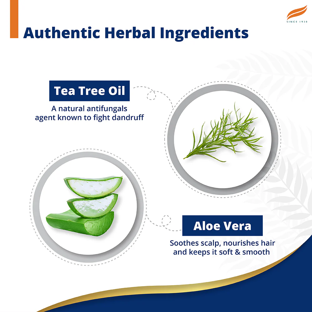 Himalaya Anti-Dandruff Tea Tree Shampoo - Image 4