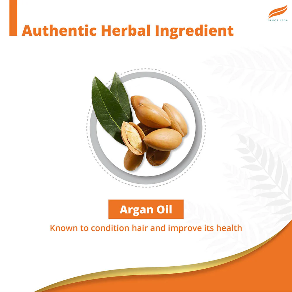 Himalaya Damage Repair Argan Oil Shampoo - Image 4
