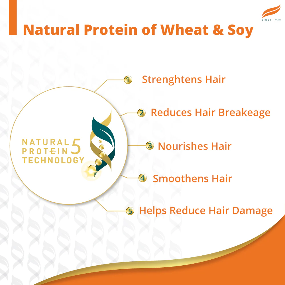 Himalaya Damage Repair Argan Oil Shampoo - Image 5