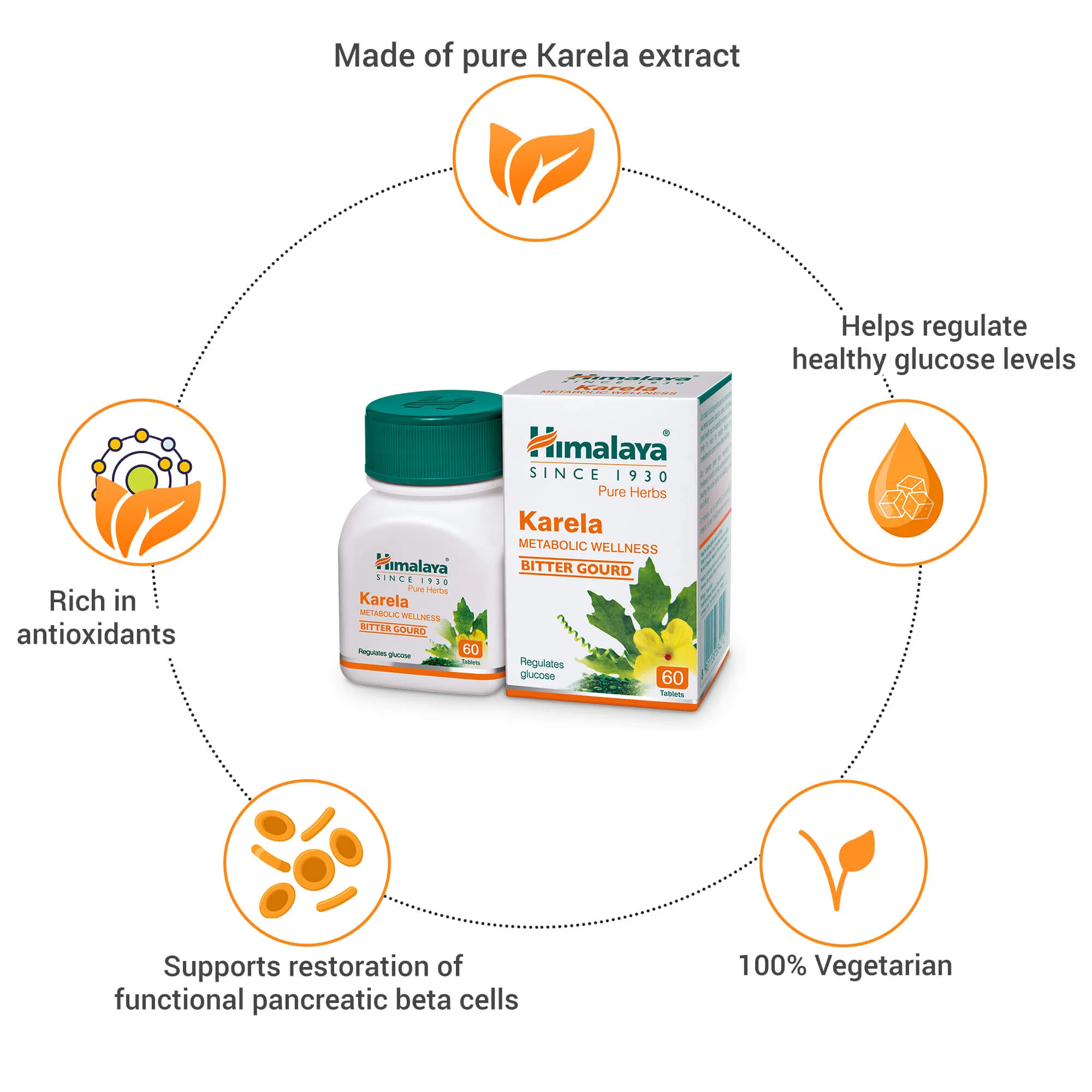 Karela - Image 3