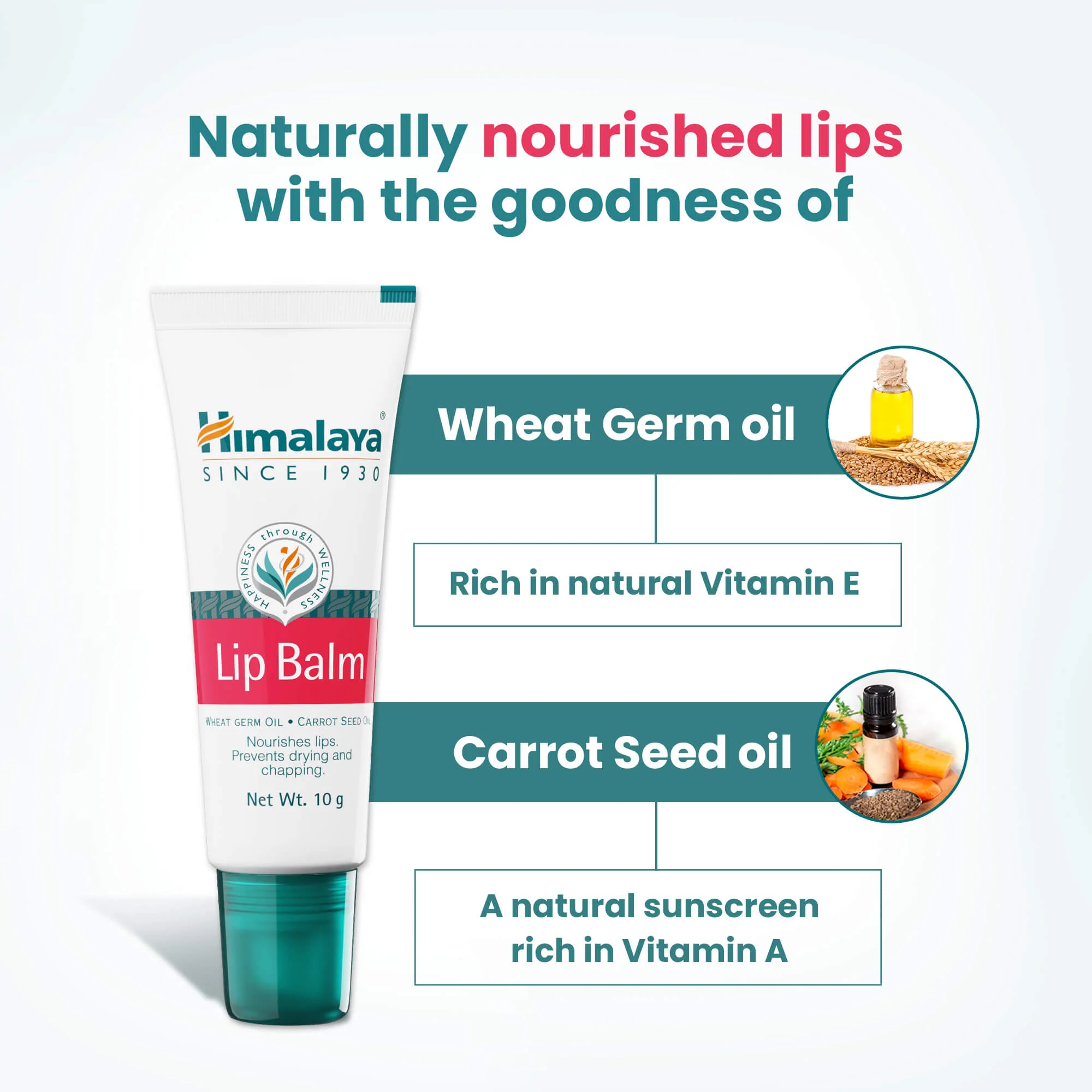 Lip Balm - Image 4