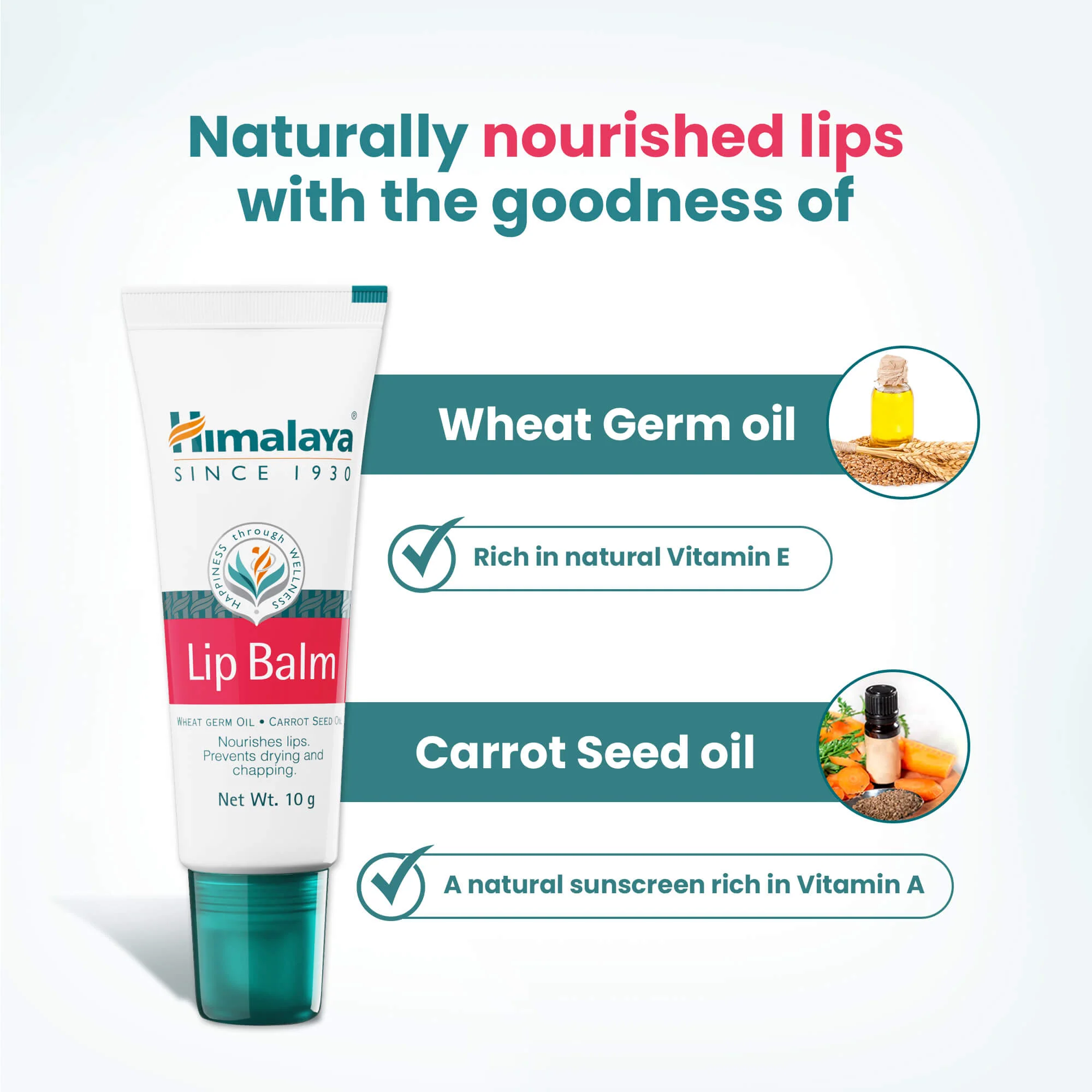 Lip Balm - Image 6