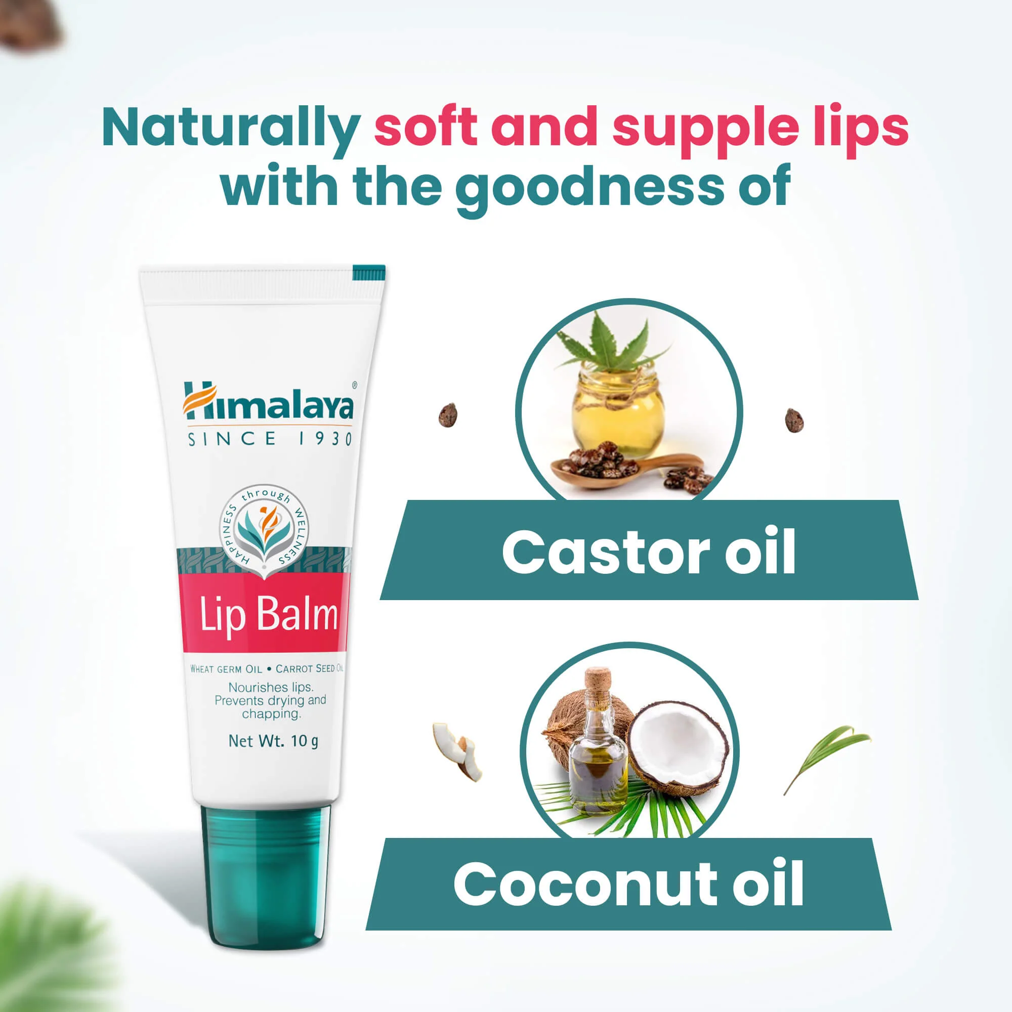 Lip Balm - Image 7