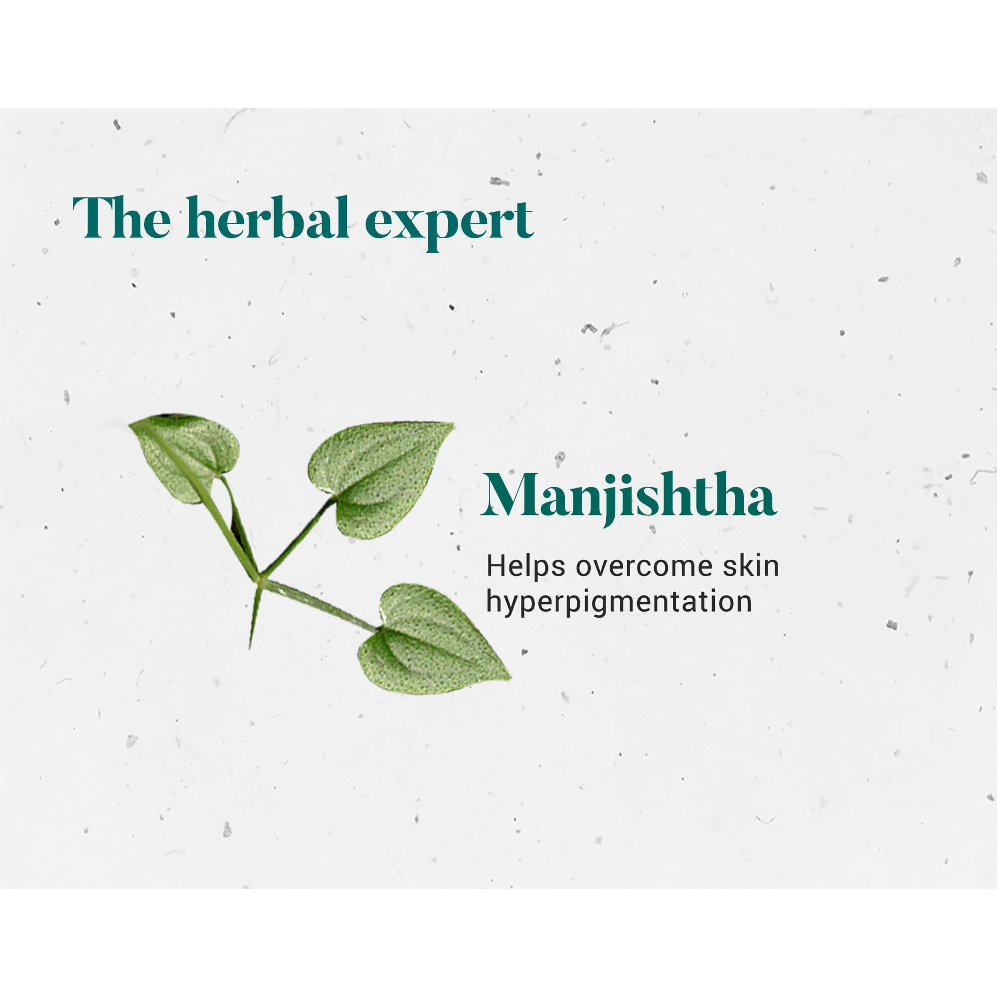 Manjishtha - Image 4