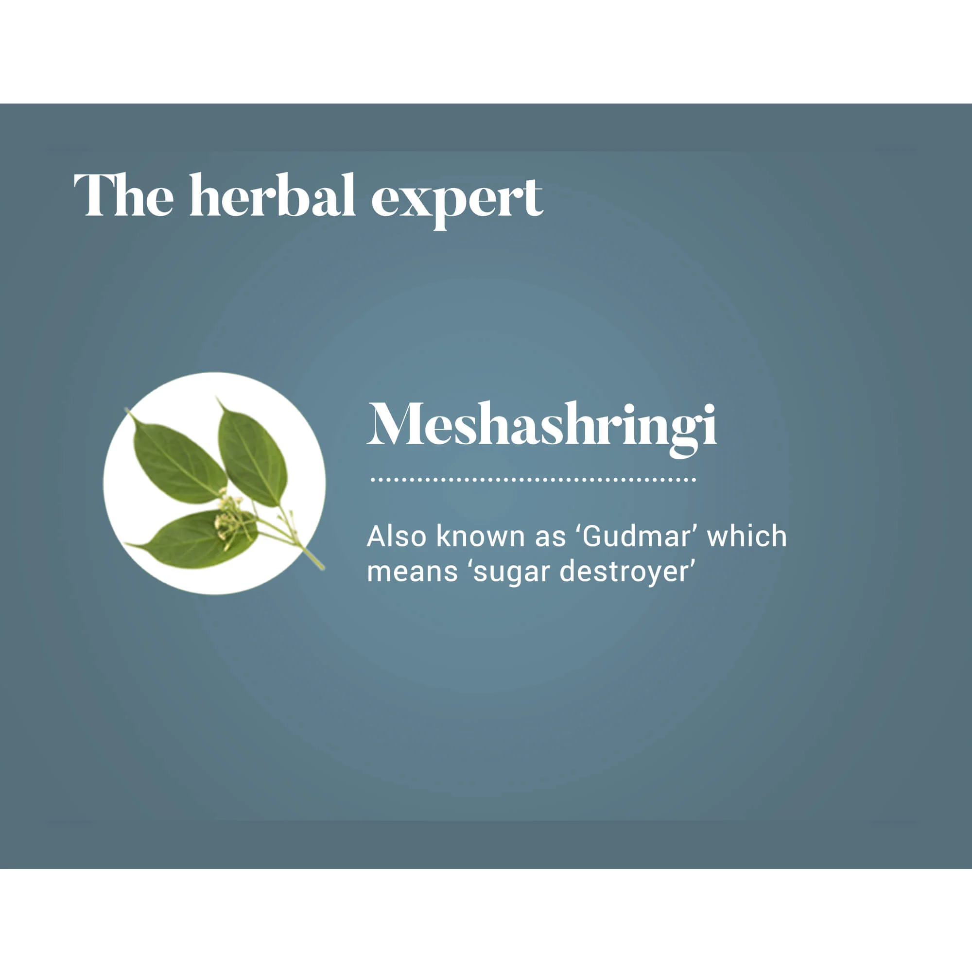 Meshashringi - Image 4