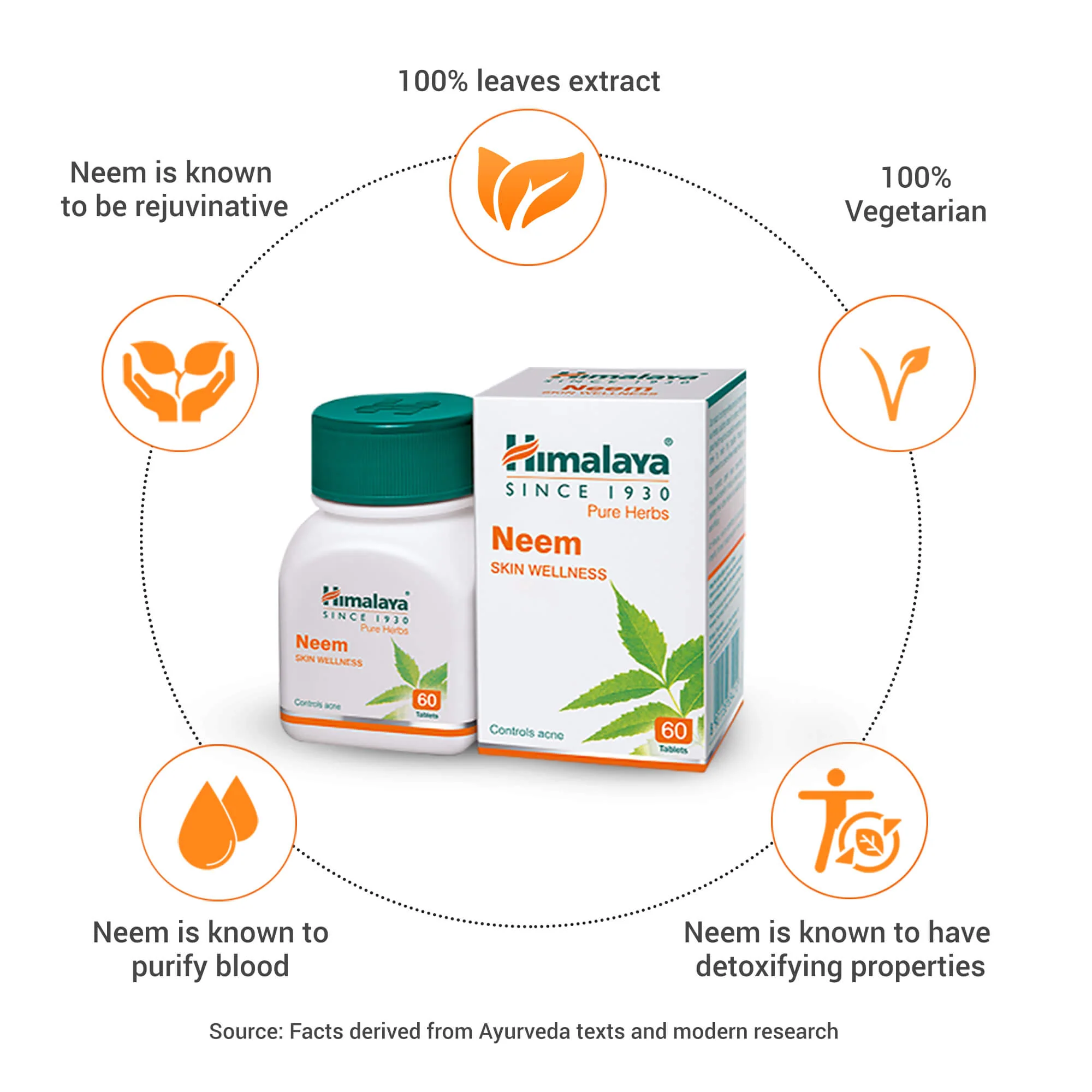 Neem - Image 3