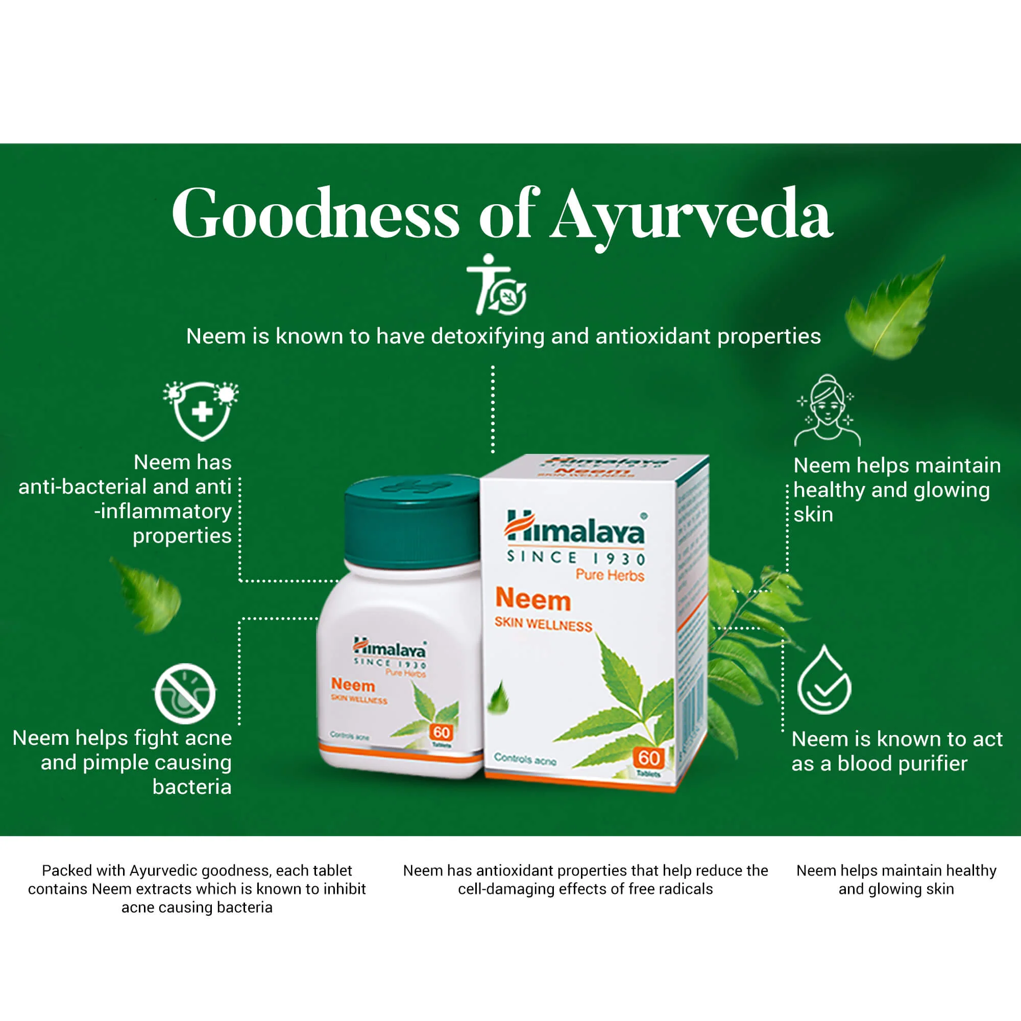 Neem - Image 5