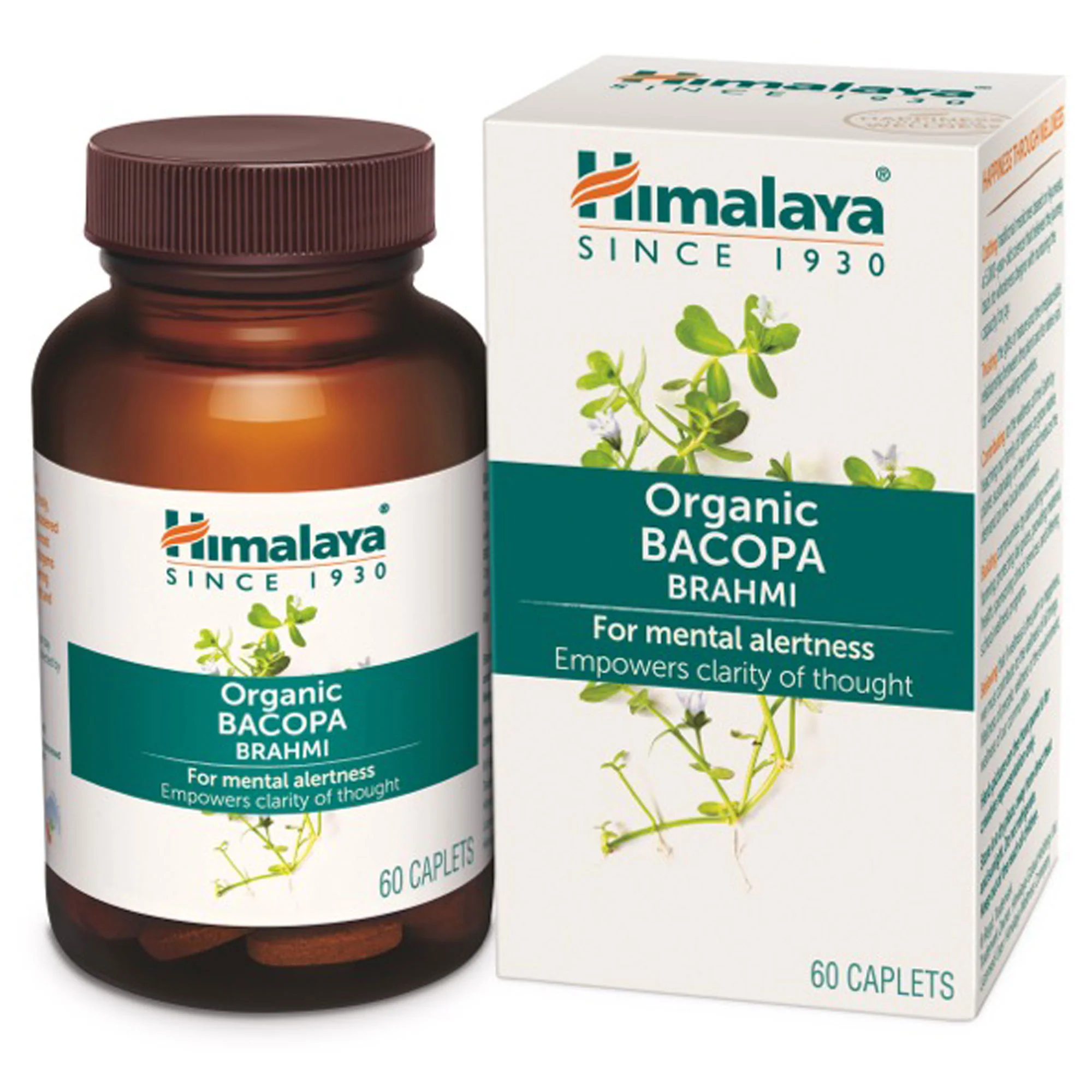 Organic Bacopa (Brahmi) - Image 5
