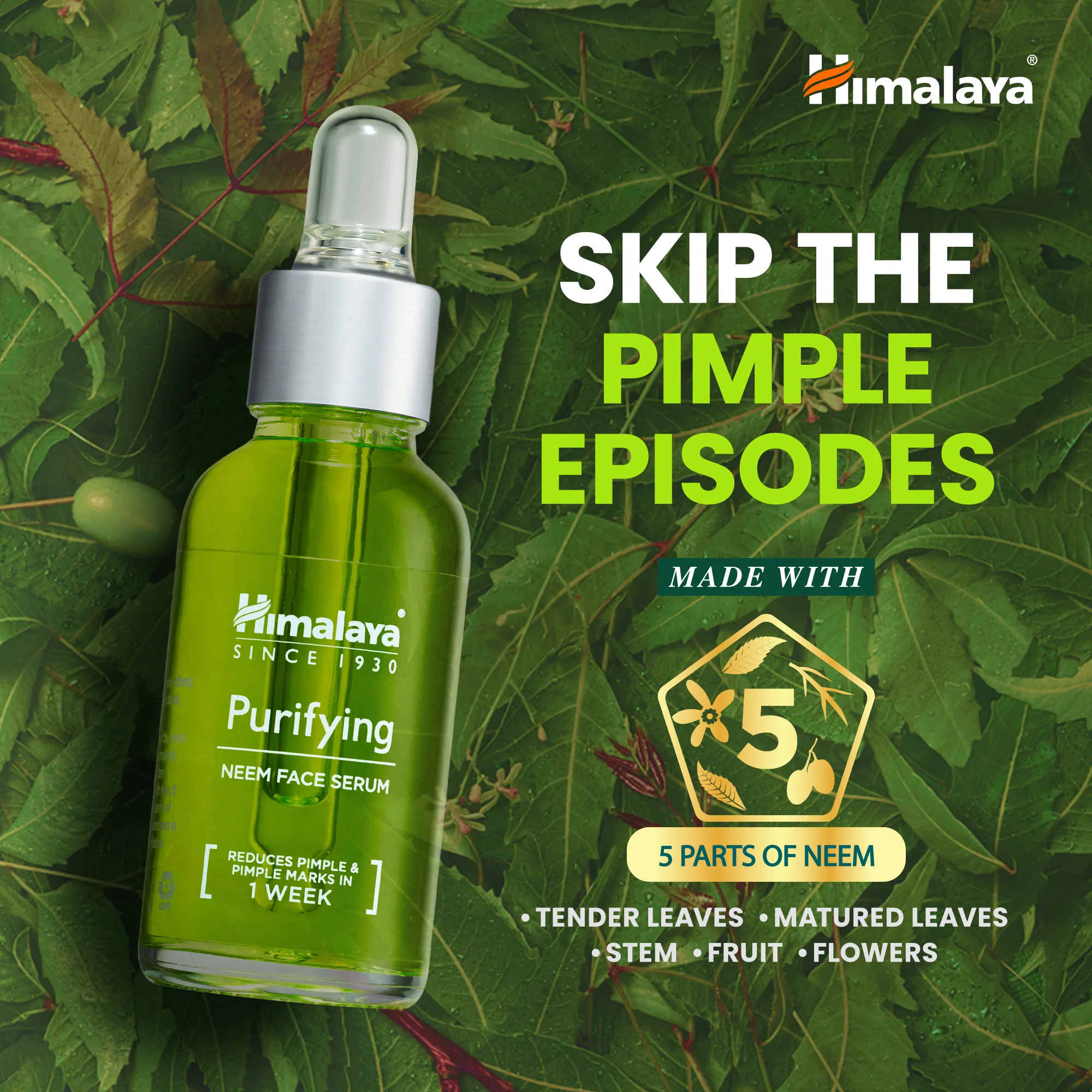 Purifying Neem Face Serum - Image 4