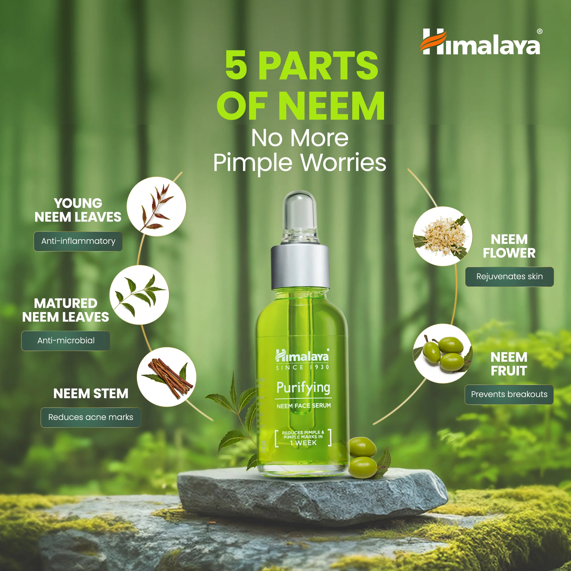 Purifying Neem Face Serum - Image 5