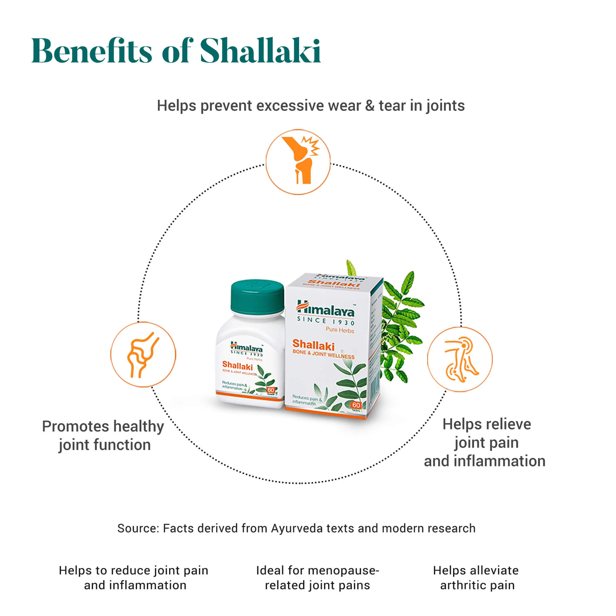 Shallaki - Image 3