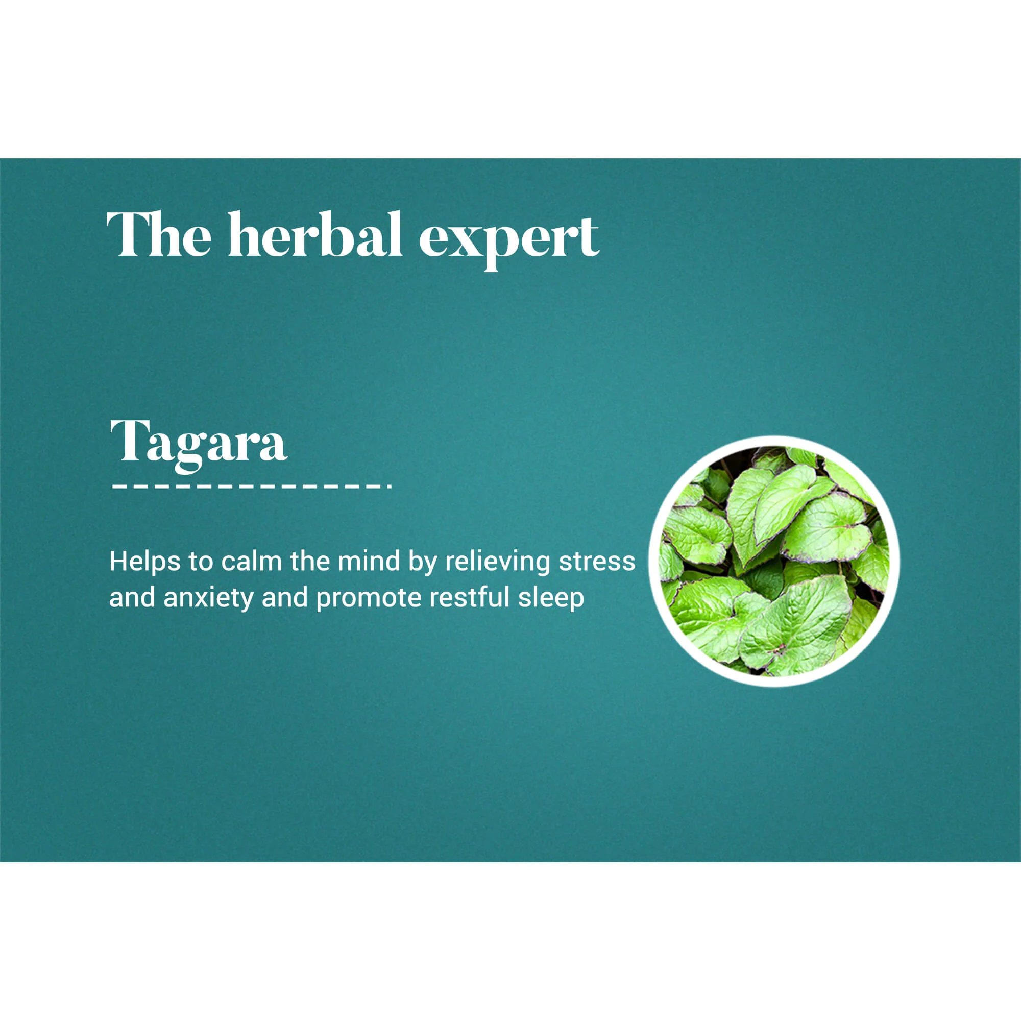 Tagara - Image 4