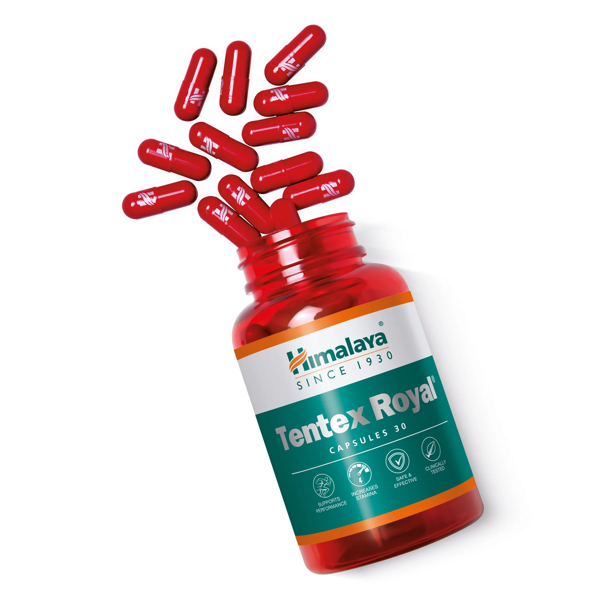 Tentex Royal - Image 10