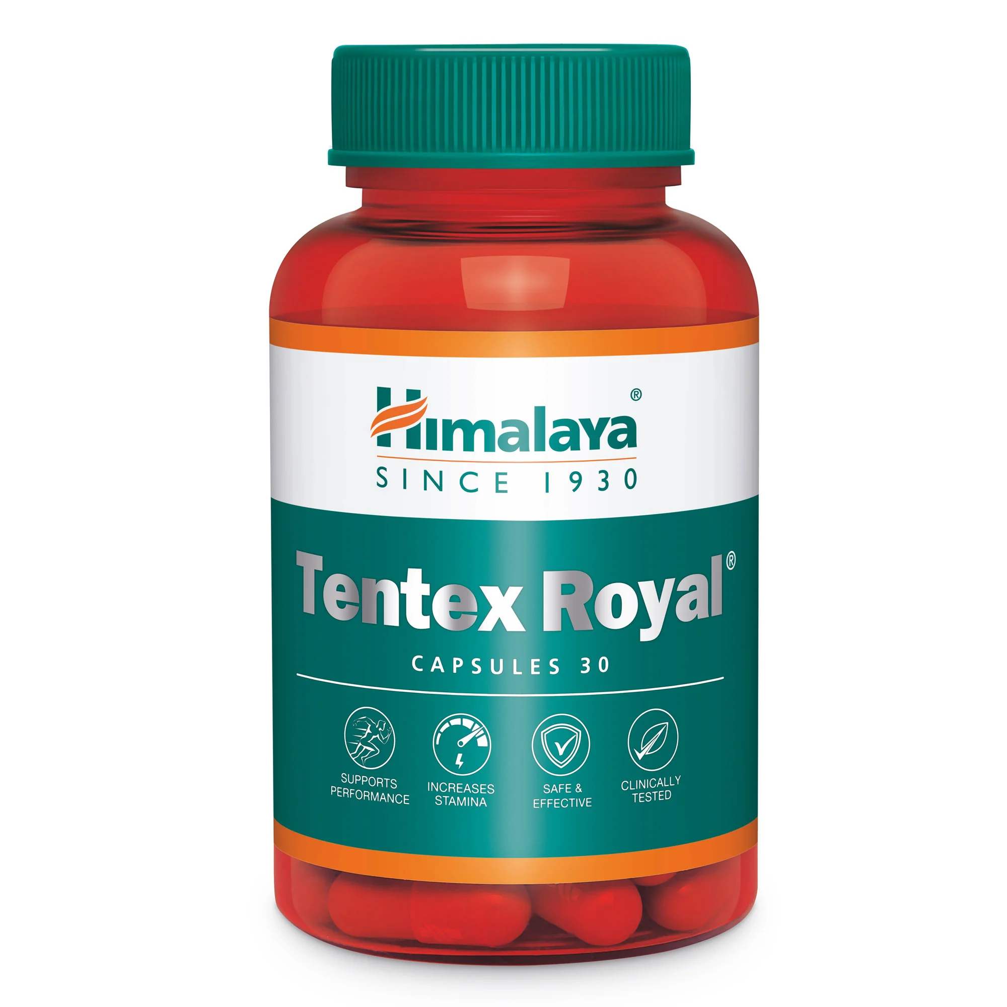 Tentex Royal - Image 6