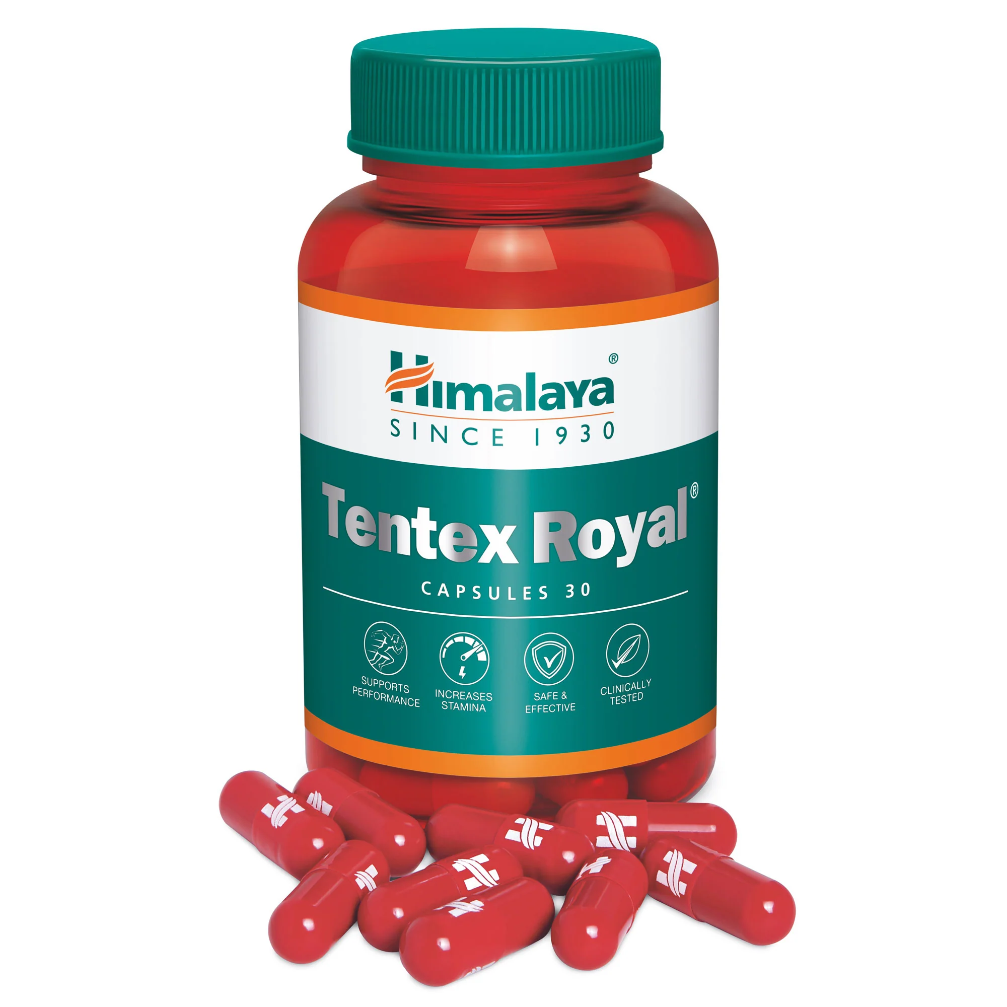 Tentex Royal - Image 7